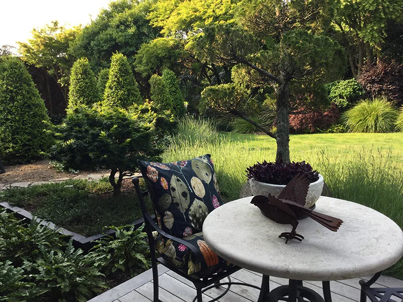 Tauranga Garden &amp; Art Festival 2020