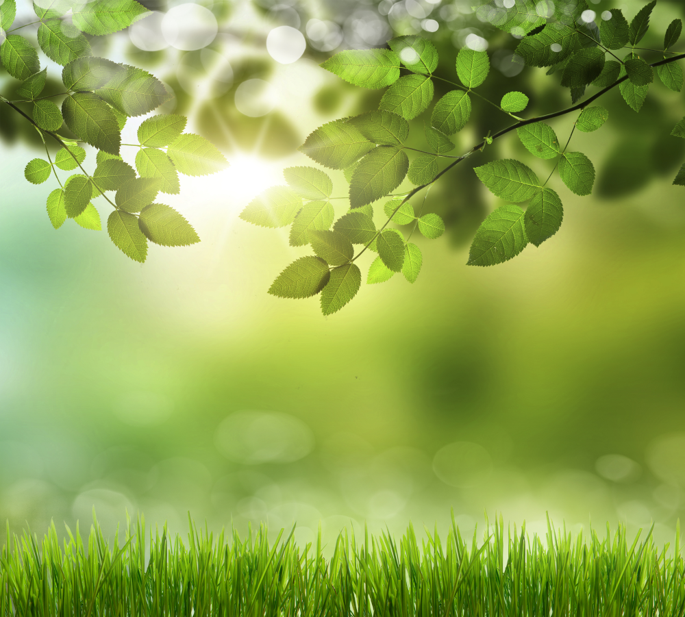 image1428.png
