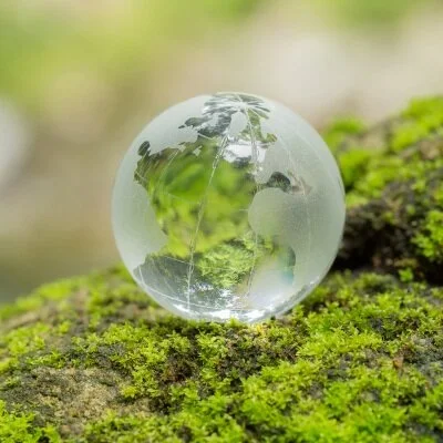 enviro+globe+on+moss.jpg