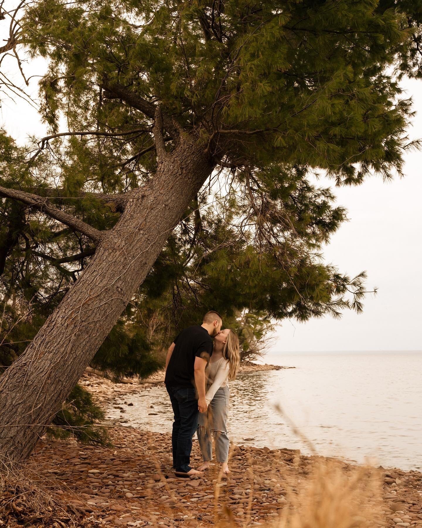 Appreciation post for the slanted tree which is now completely parallel 😢 so sad to see it had fallen on this mornings hike!! We will miss you 🌳
&bull;
&bull;
&bull;
@rachelsaliss @alecnucci by @natalie_jvfilmsphoto with @jv__films #rochesternyphot