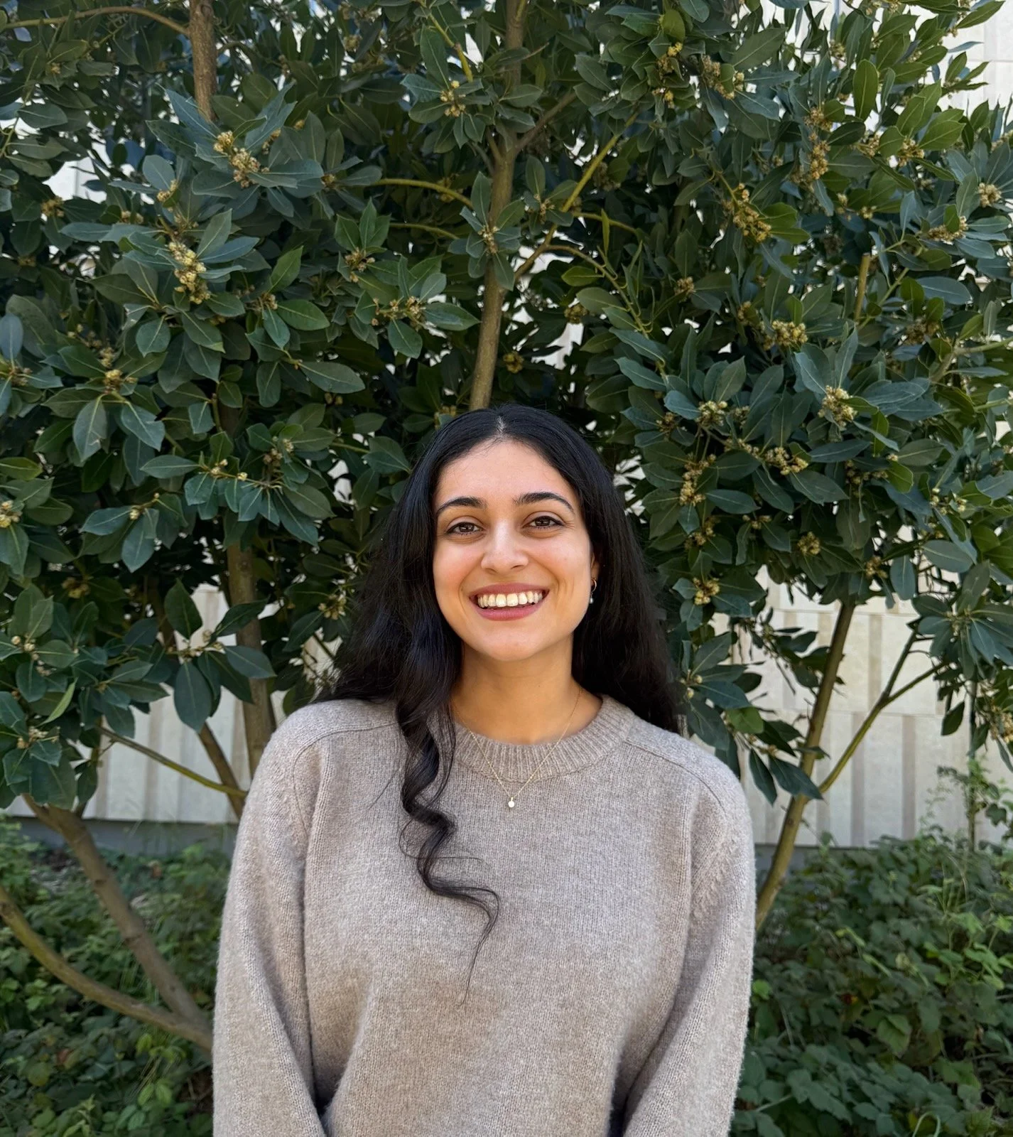 Ally Harris, PA-C | Berkeley, Pleasanton, Walnut Creek