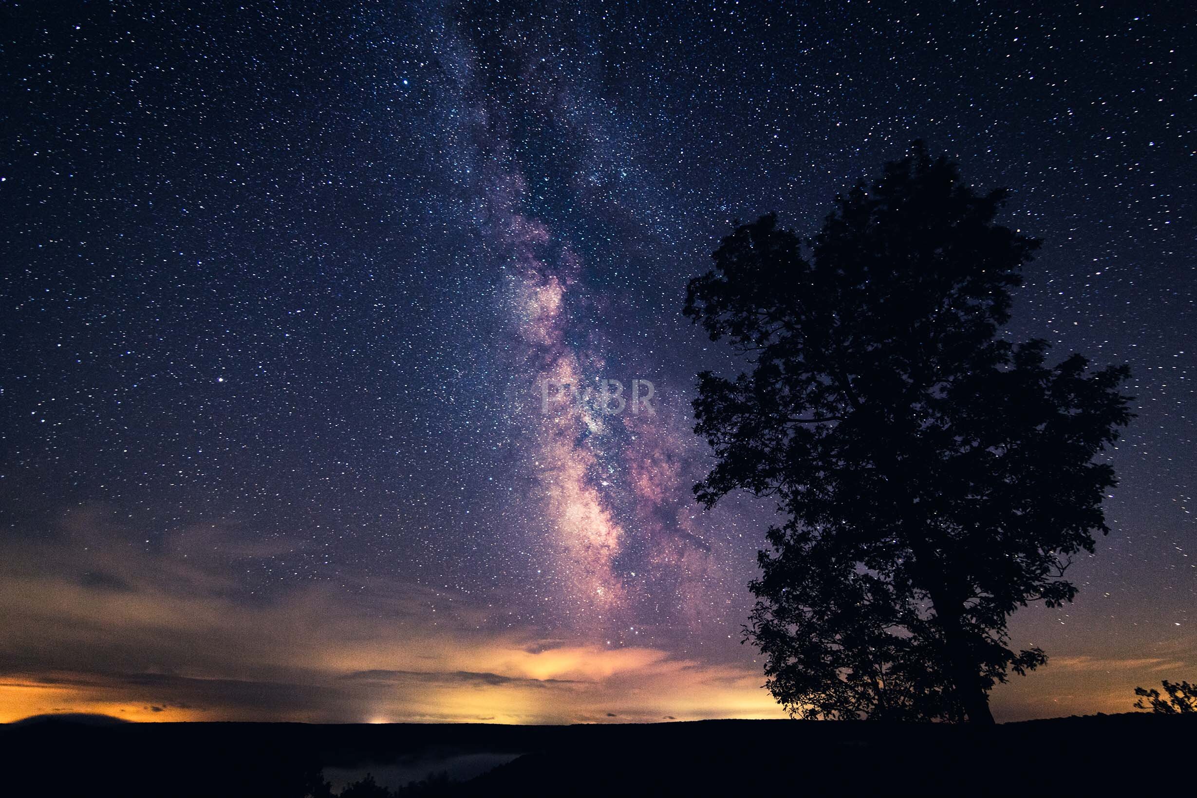 Night sky with Milky Way galaxy and silhouetted tree.