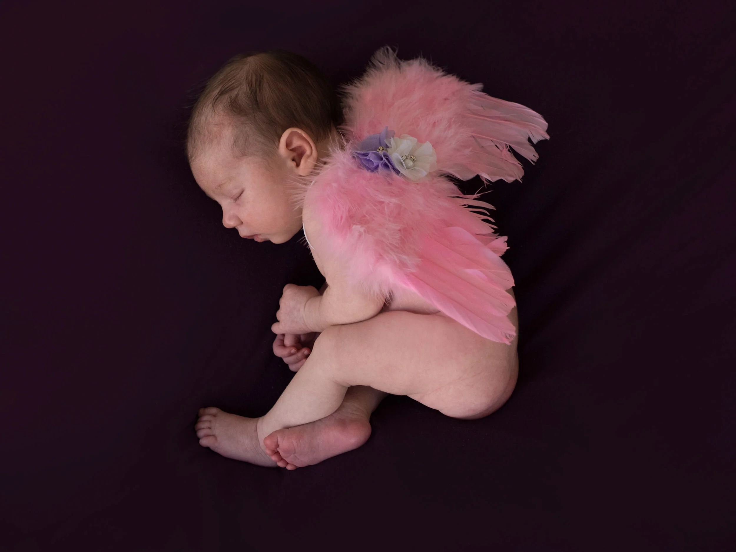 P1146989-Edit-2-Wings.jpg