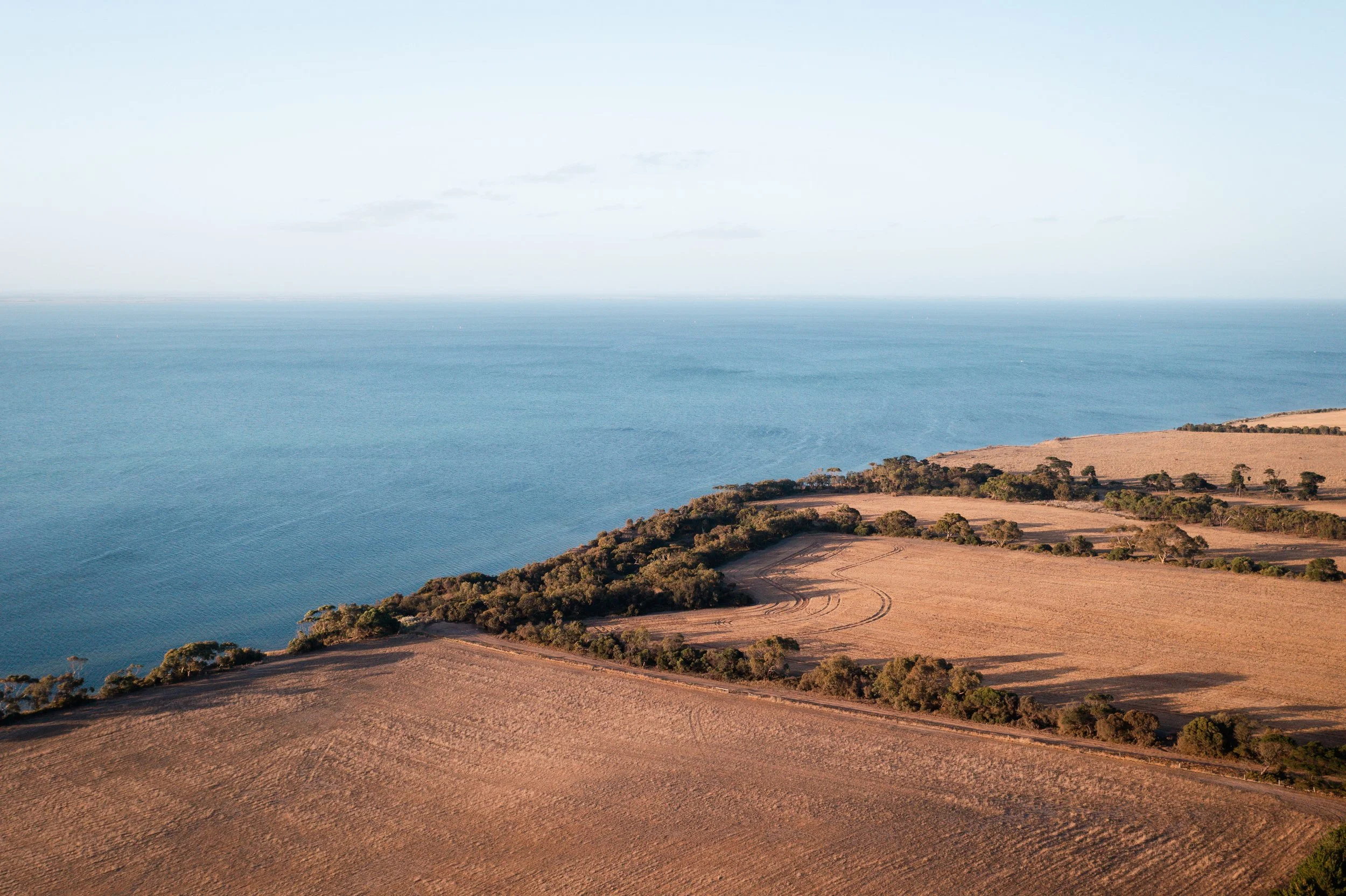 DJI_0350.jpg