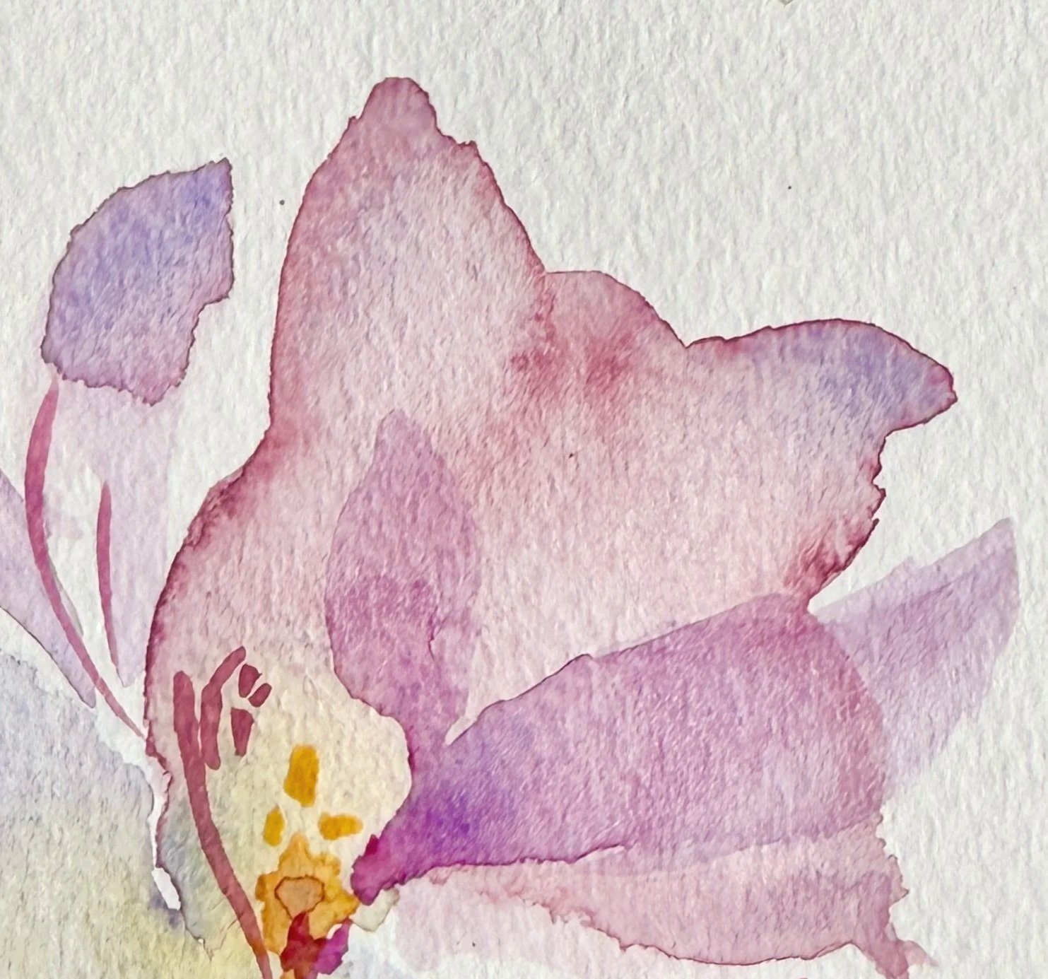 botanical studies