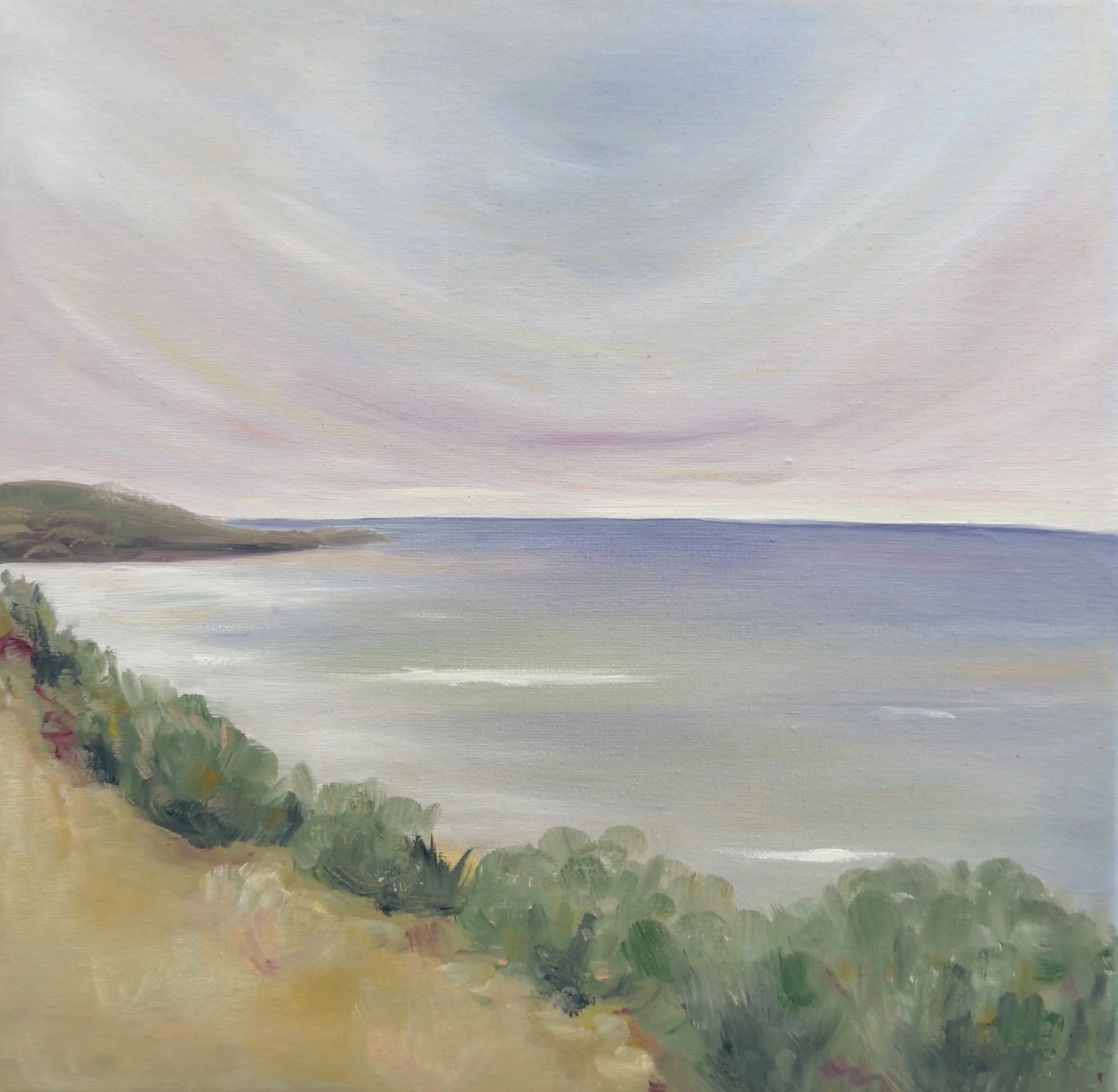 That Time in La Jolla (2020)