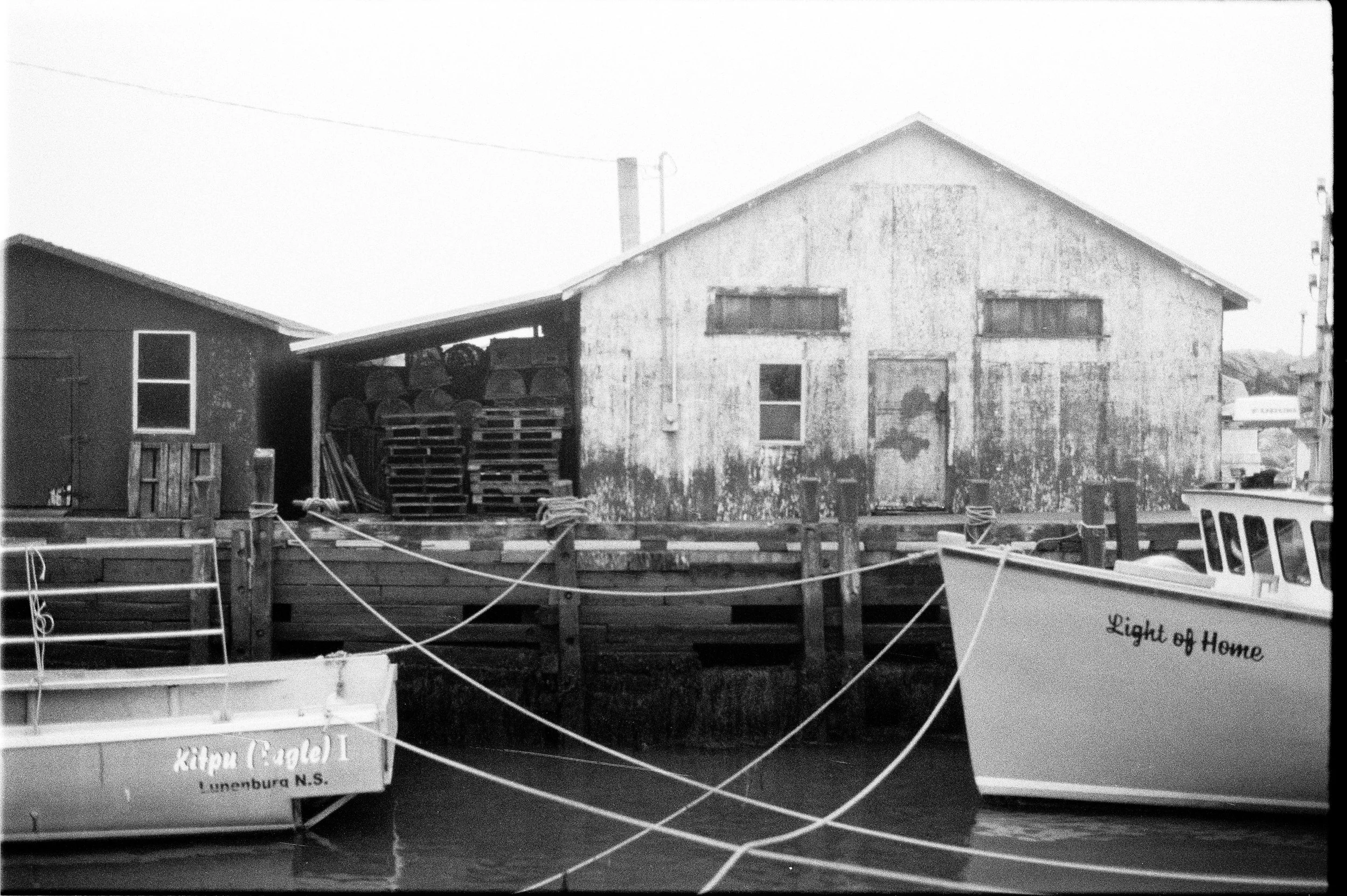 HP5+_yashica_21.jpg