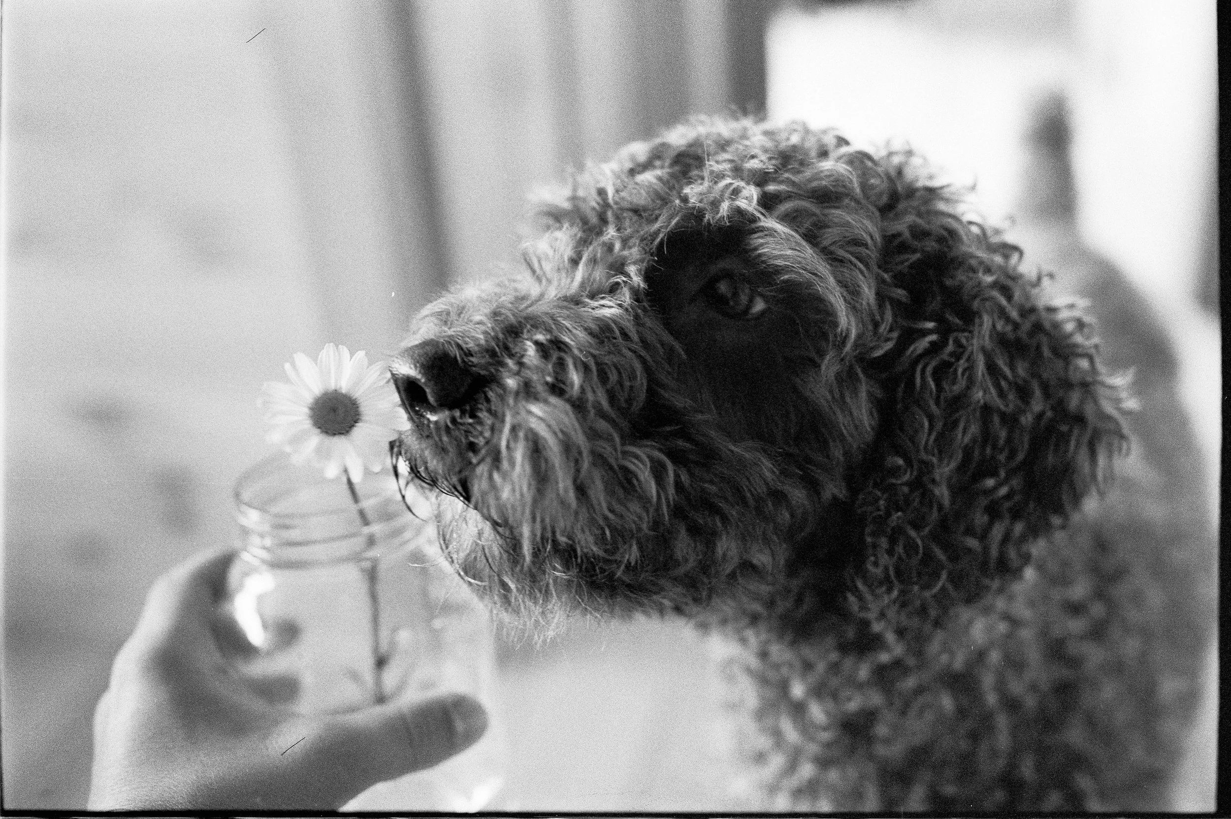 HP51600_15.jpg