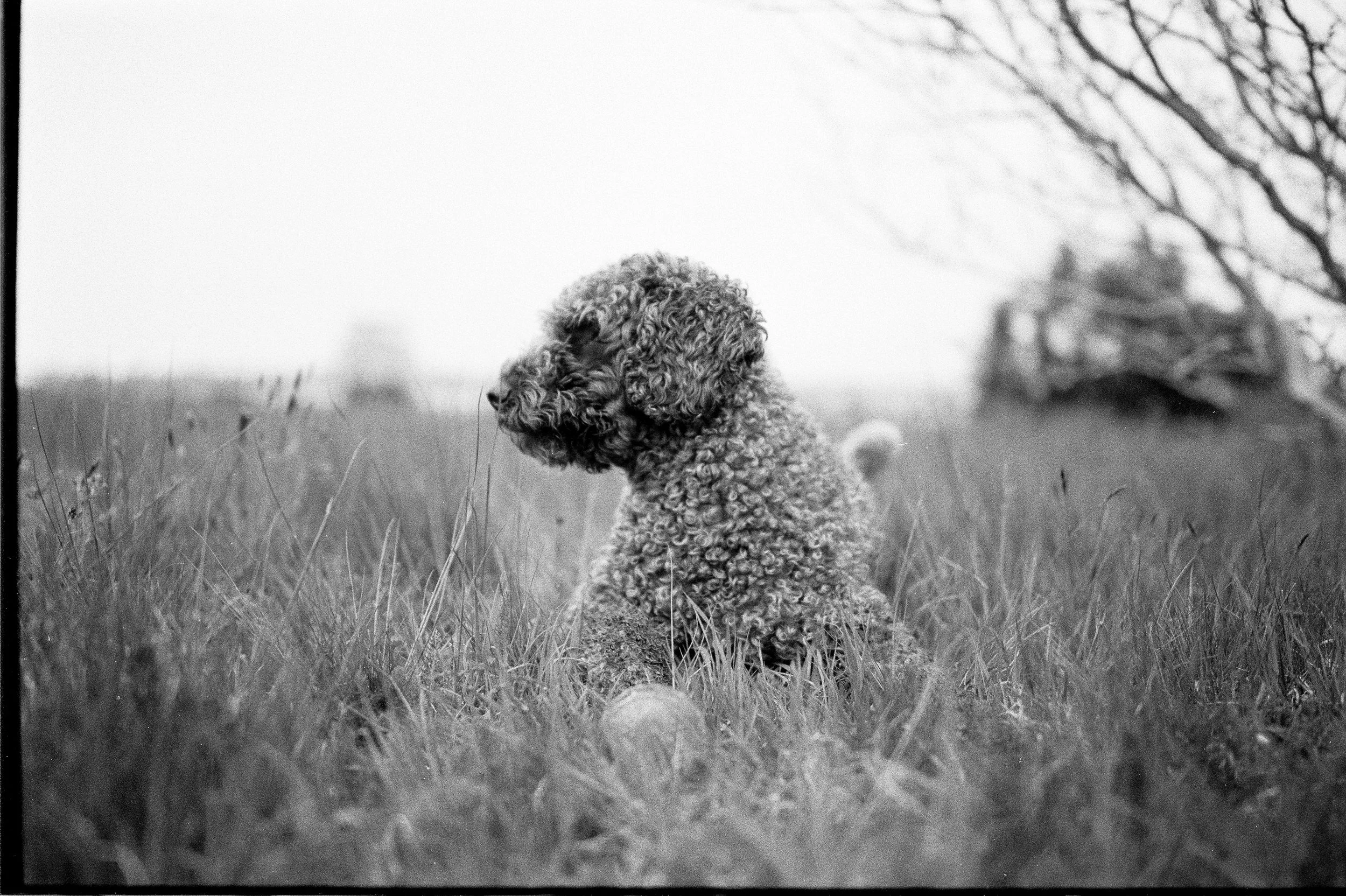 HP51600_03.jpg