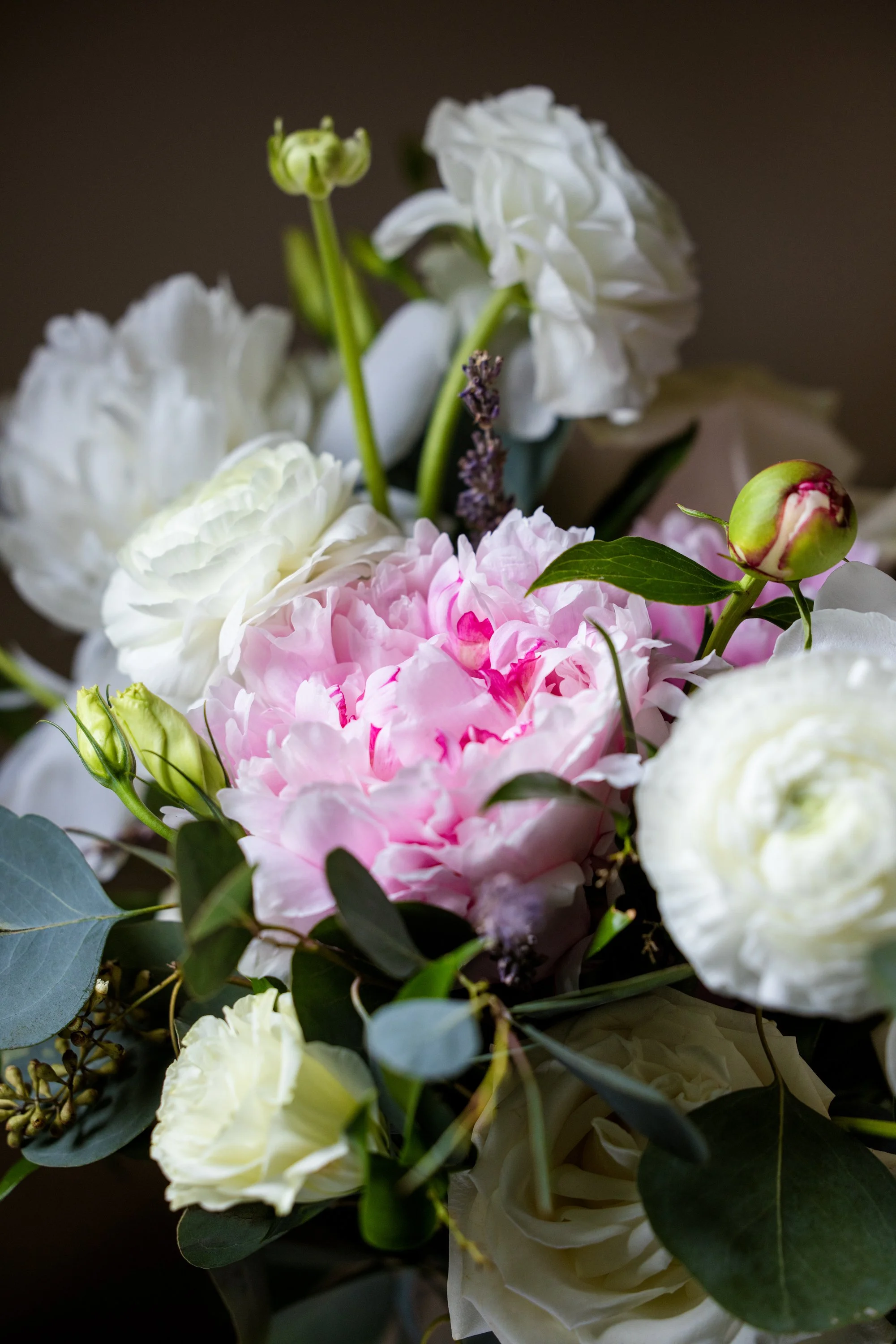 Alex Molina Photography-1.jpg