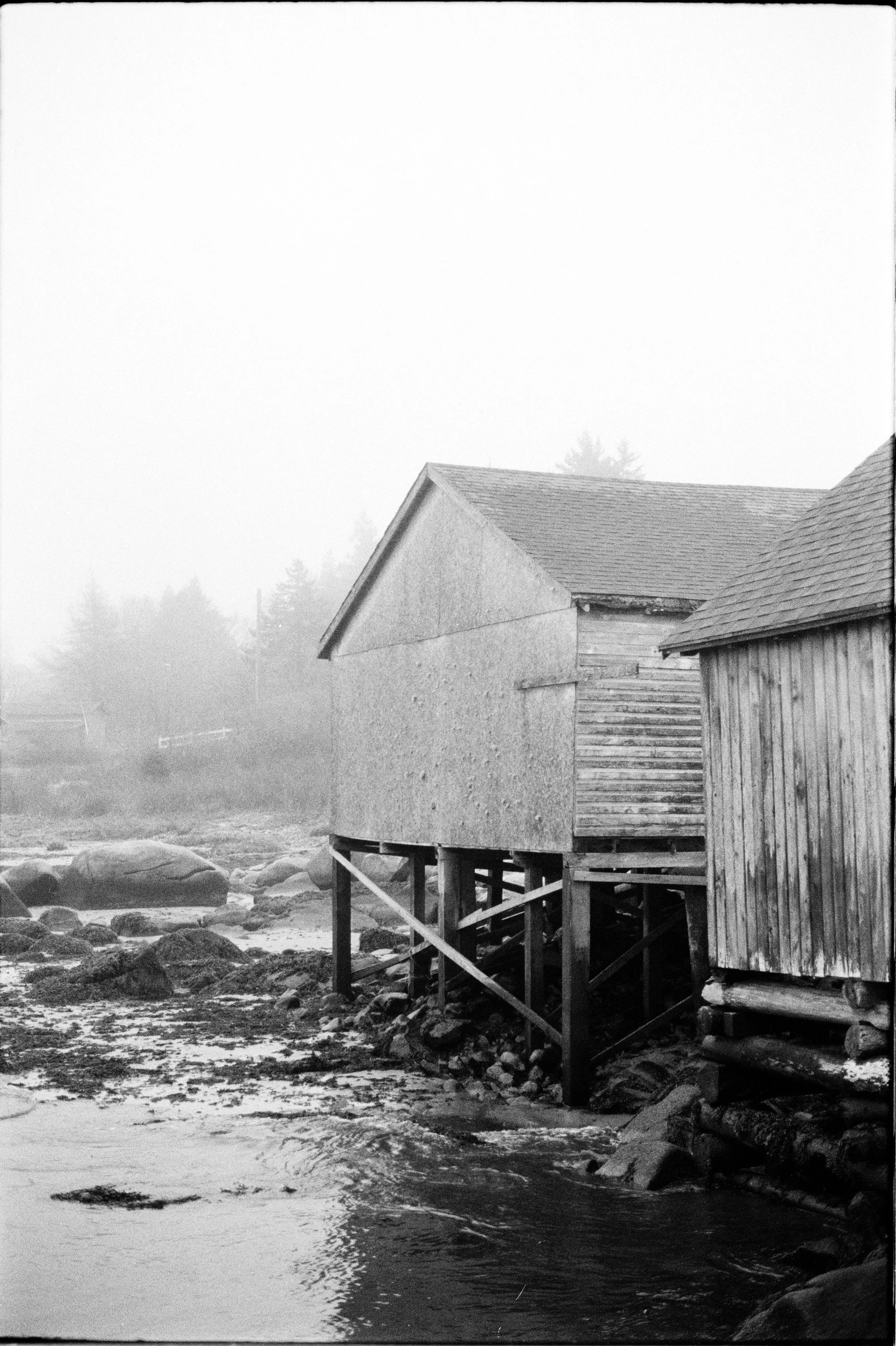HP5+_yashica_18.jpg