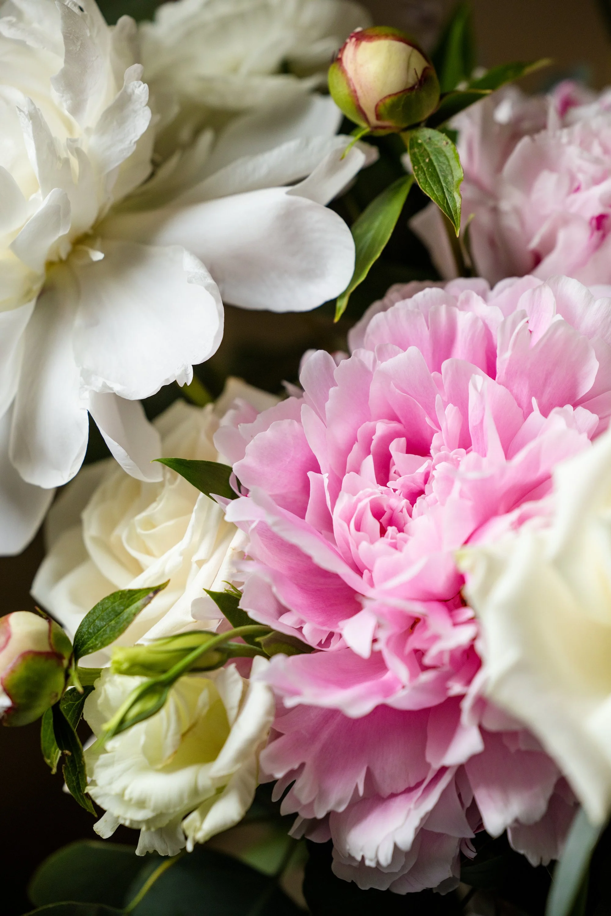 Alex Molina Photography-1-4.jpg