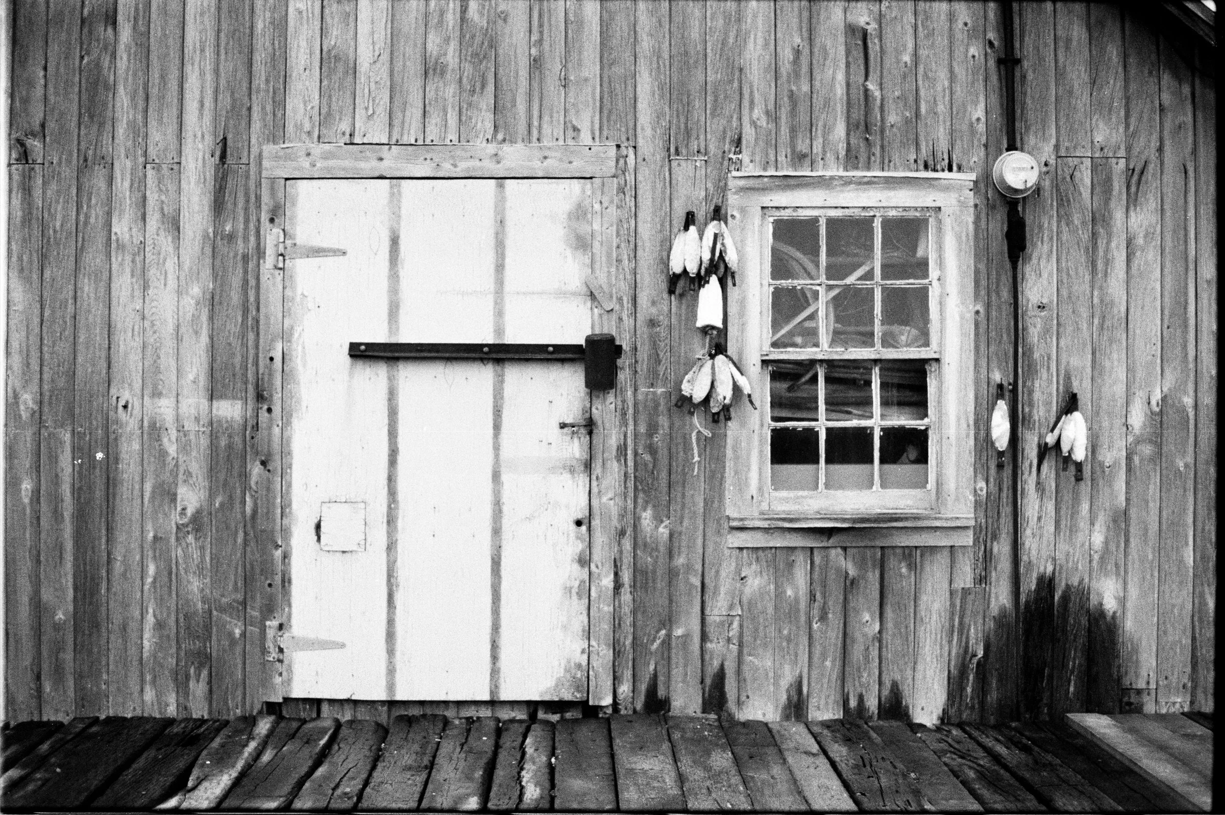 HP5+_yashica_17.jpg