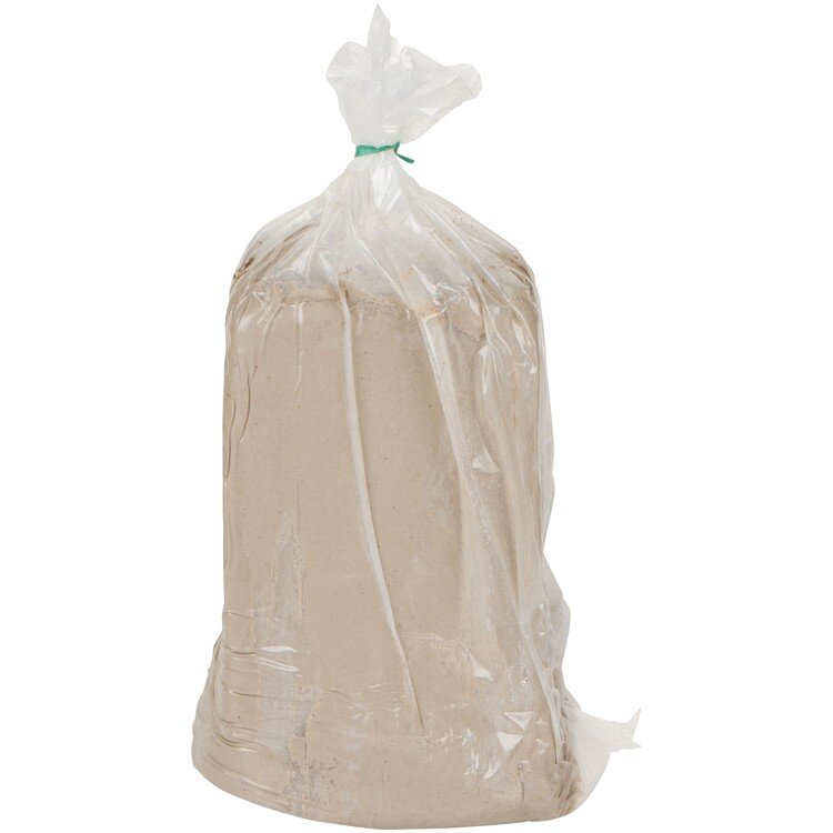 Glazed Anatomy Tote Bag – punpantry