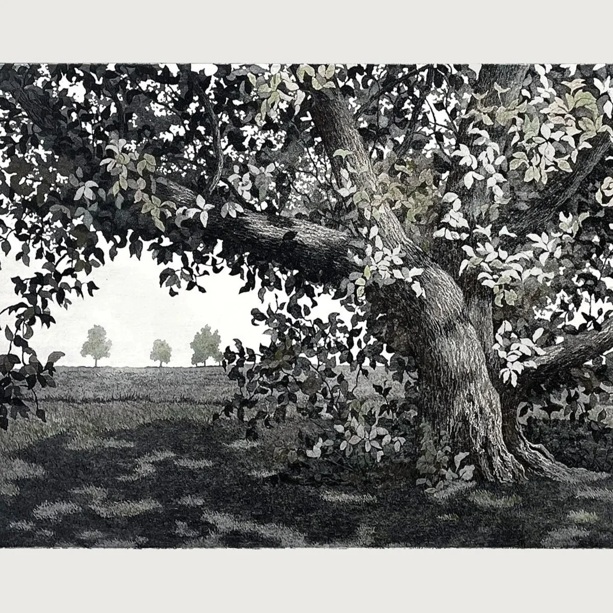 Sheila Holloman - Booth 48