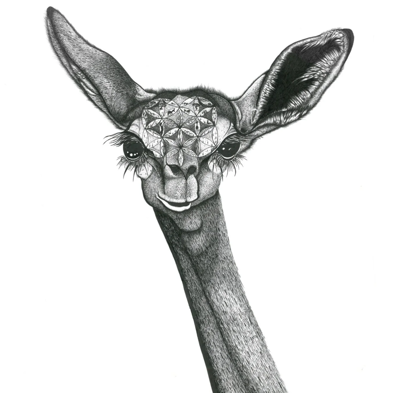Sarah Skiold-Hanlin - Booth 77