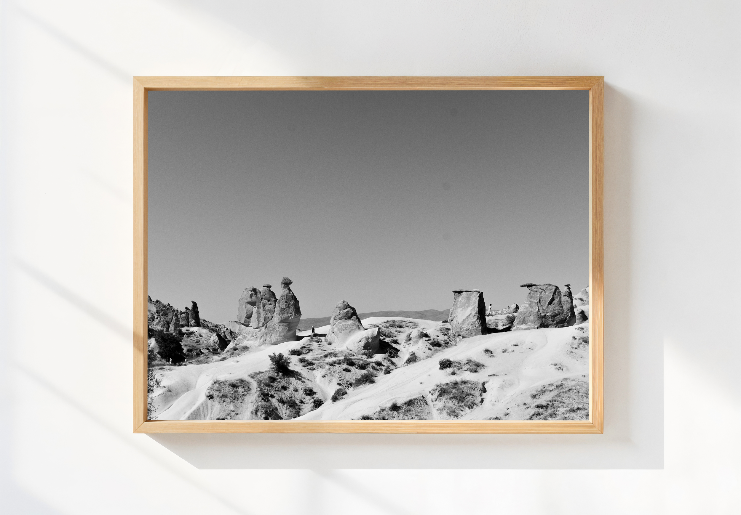 Camel Rock.png