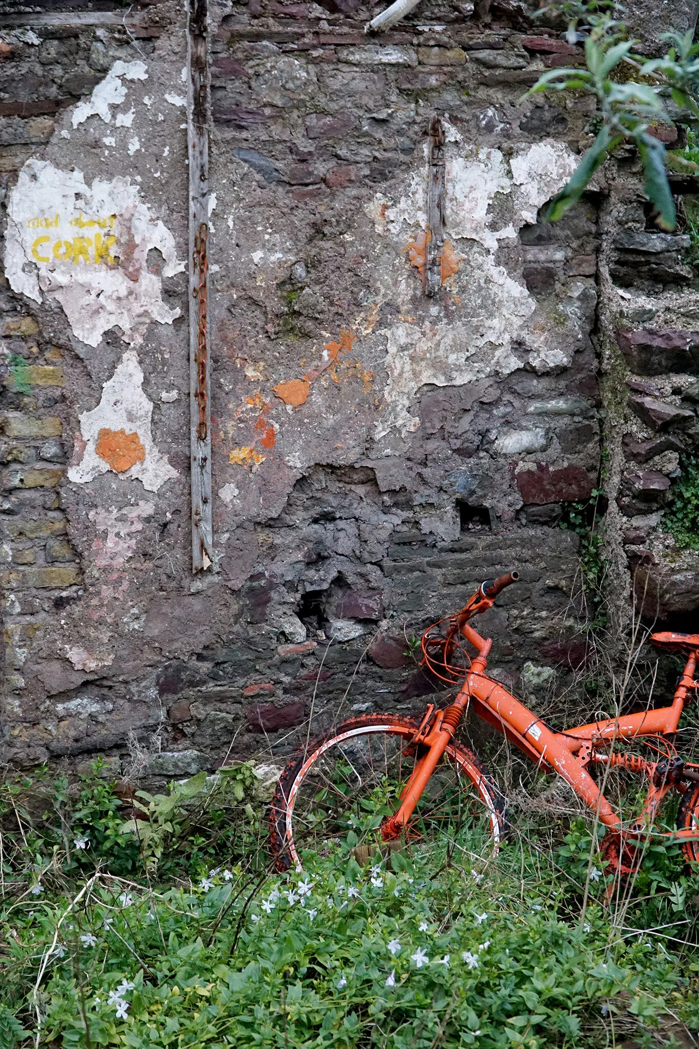 Irish Colour Palette.JPG