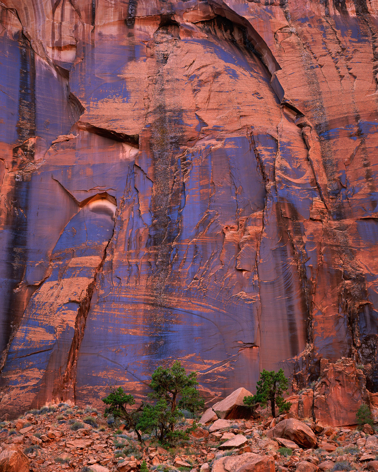 Blue Varnish Wall; Escalante Wilderness, Utah