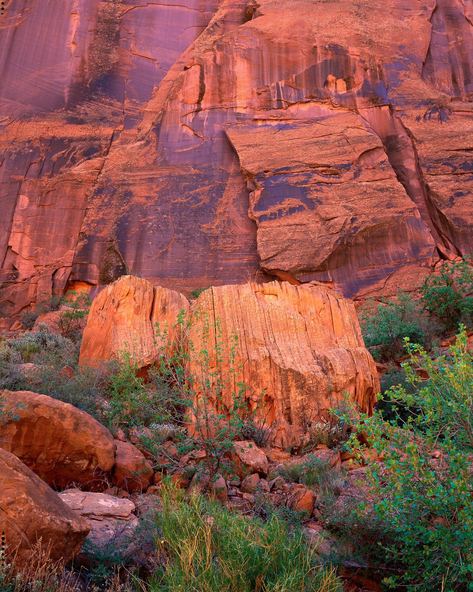 Rock and Blue Varnish Cliff, Silver Falls Canyon; Escalante Wilderness, Utah