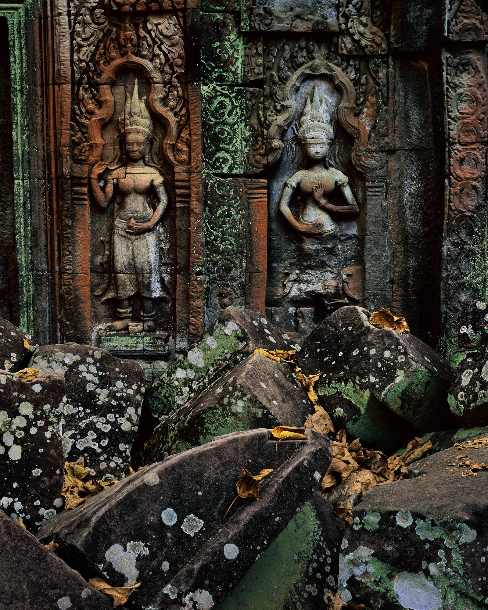 Apsaras, Lichens, Blocks, Prasat Ta Prohm; Angkor, Cambodia