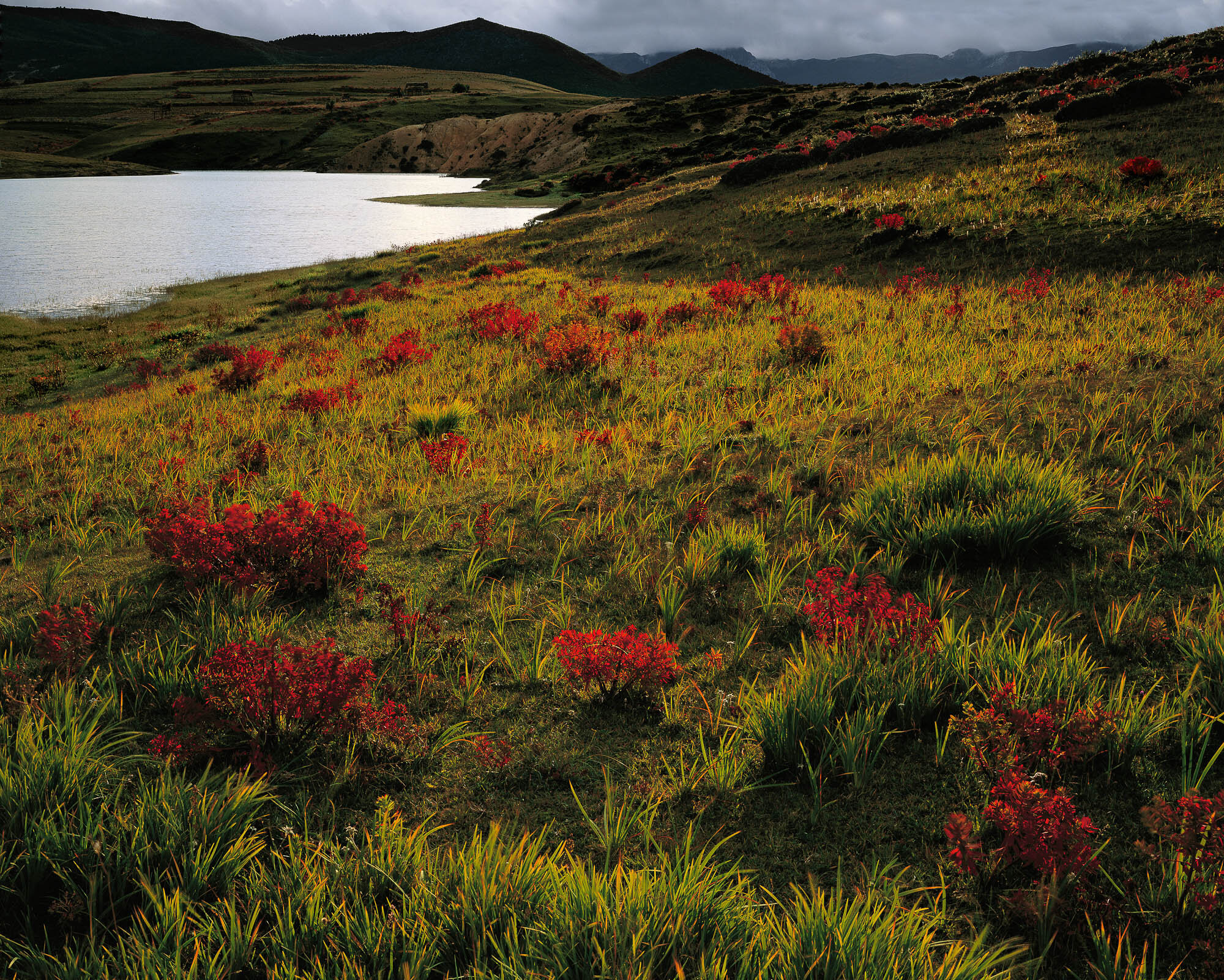 Langdu, Lake, Kujia; Kyltang - Zhongdian, Yunnan Province, China