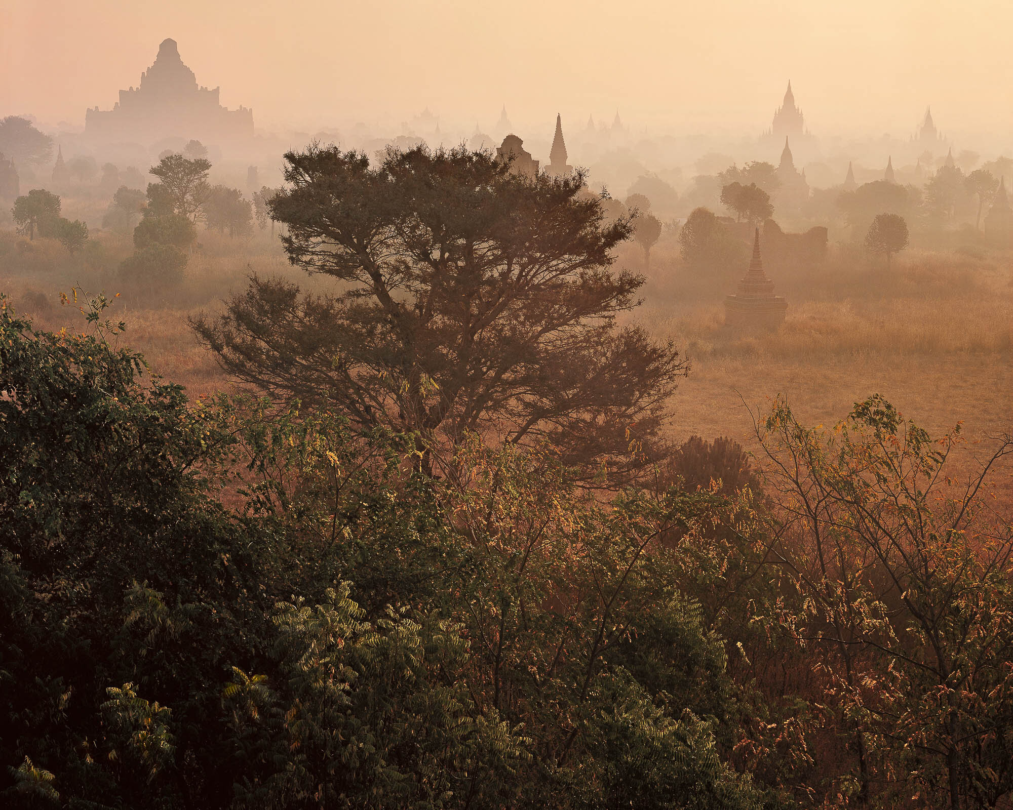 Spires in Dawn Mist; Bagan, Myanmar
