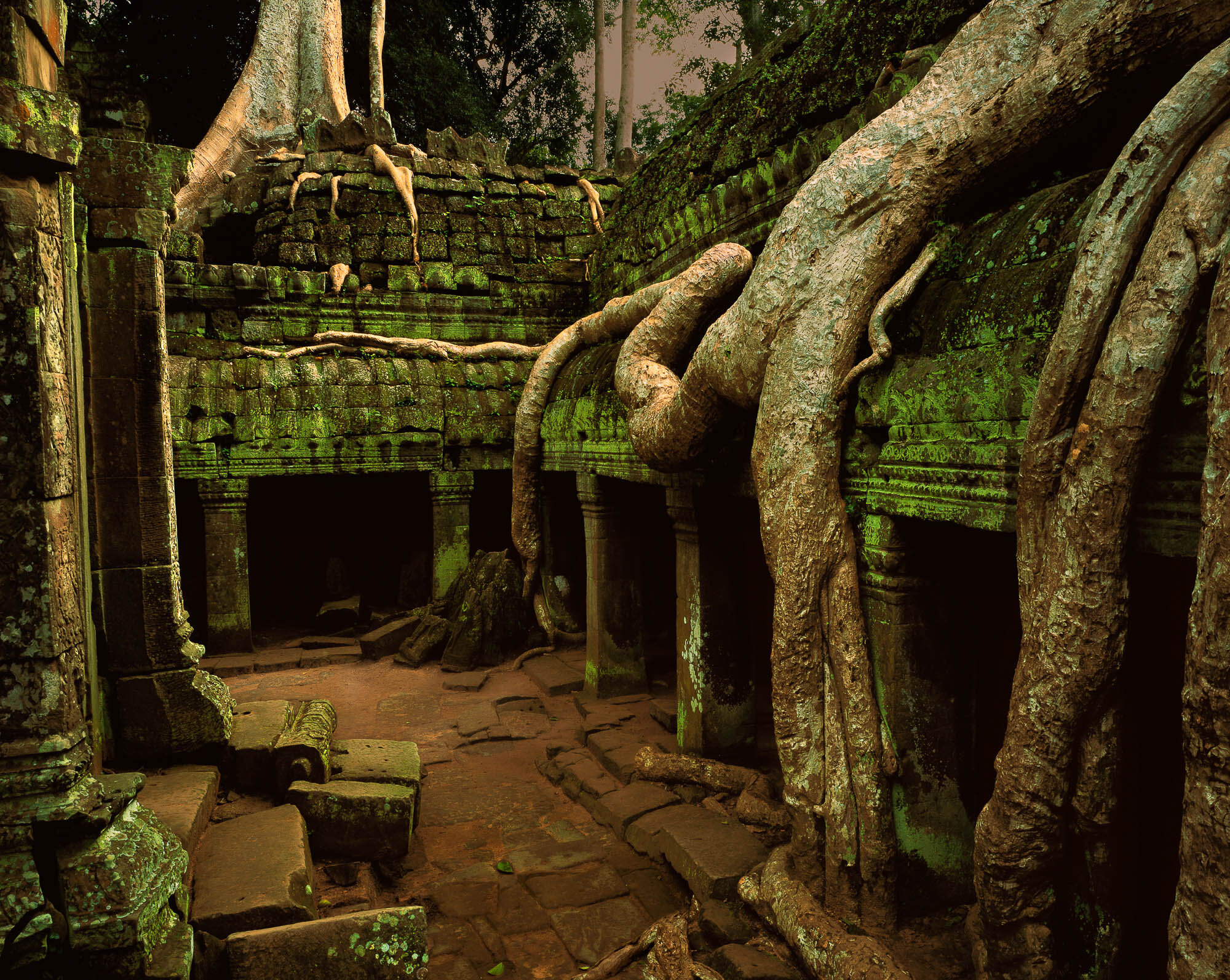 Sponge Roots and Ruins, Central Court, Ta Prohm; Angkor, Cambodia