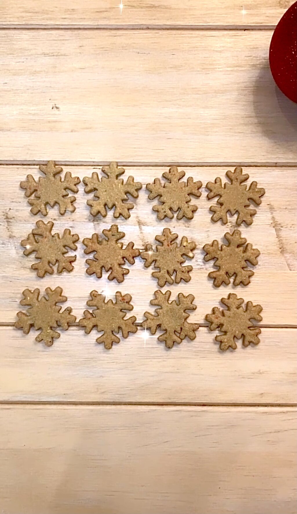 LET IT SNOW! Doggie Christmas Snow Bites