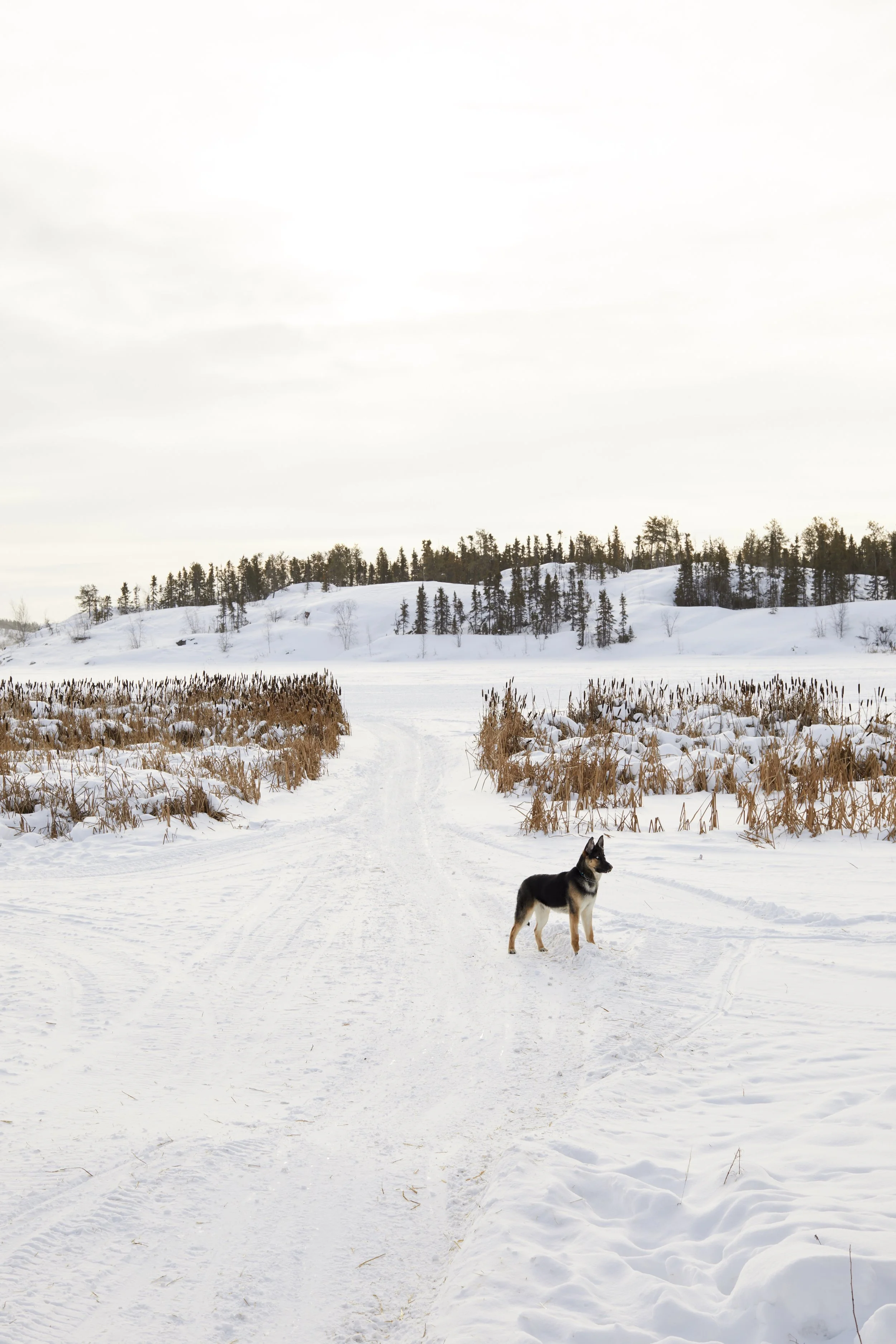 Yellowknife, Northwest Territories, Canada