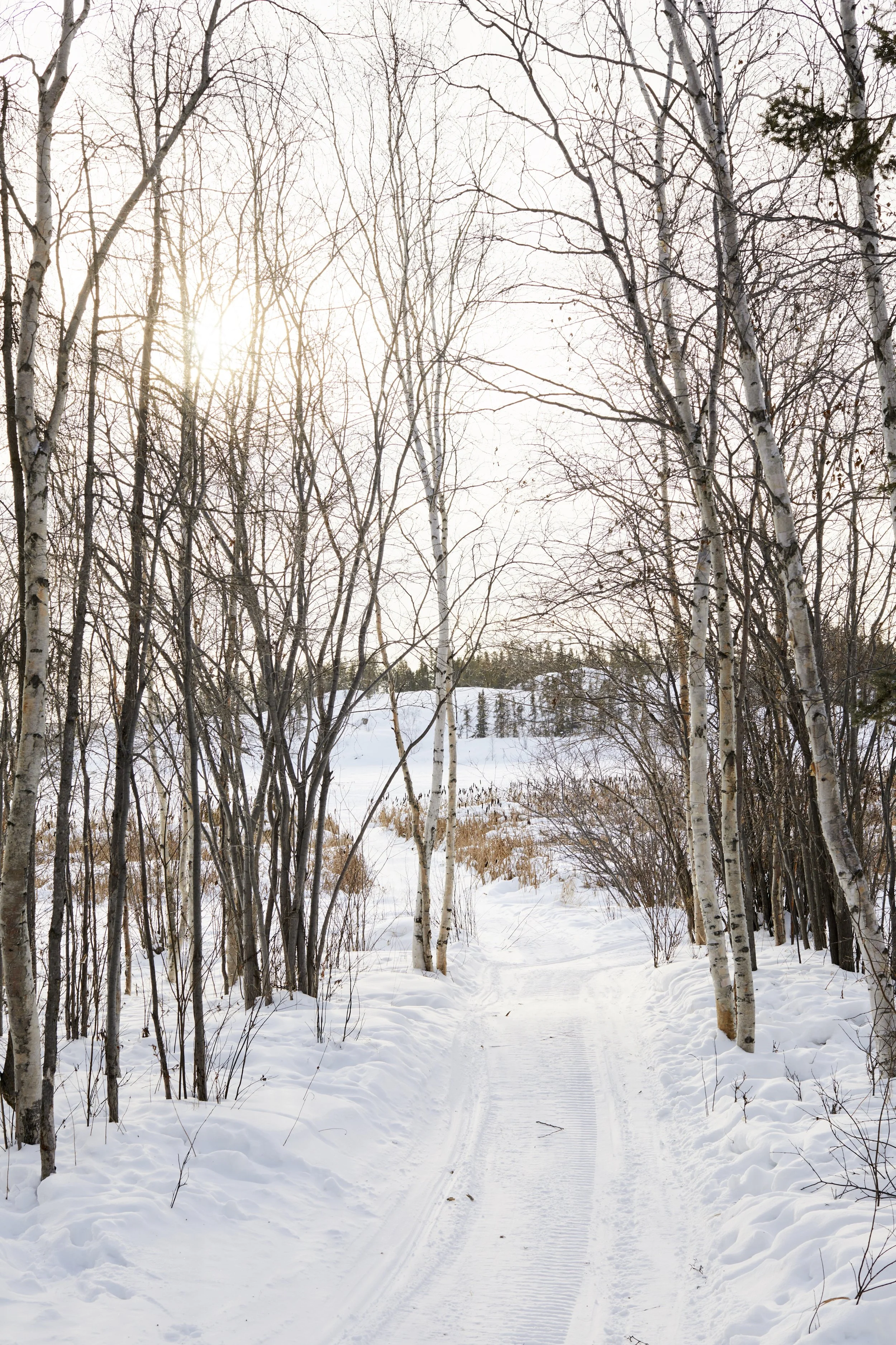 Yellowknife, Northwest Territories, Canada
