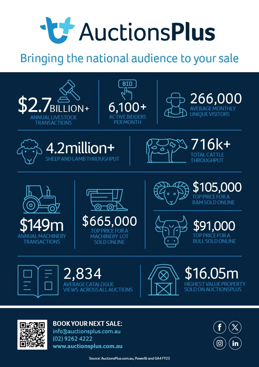 AuctionsPlus A5 Flyer - V5_1.jpg