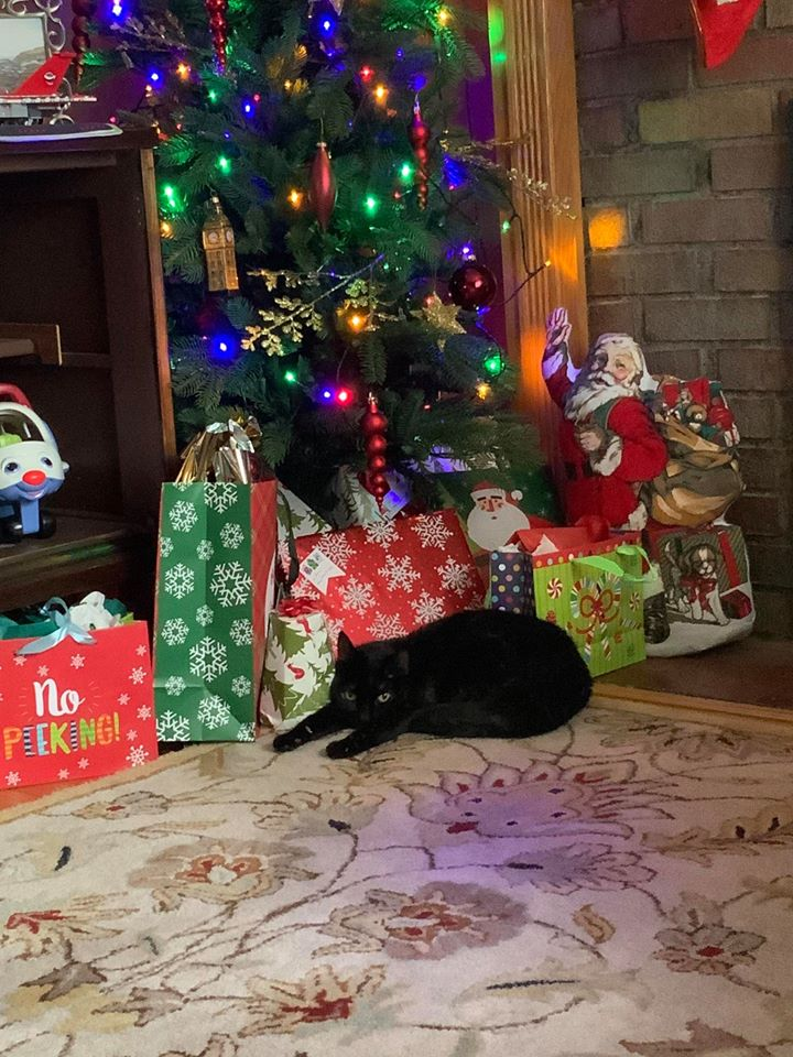 aerith_xmas.png