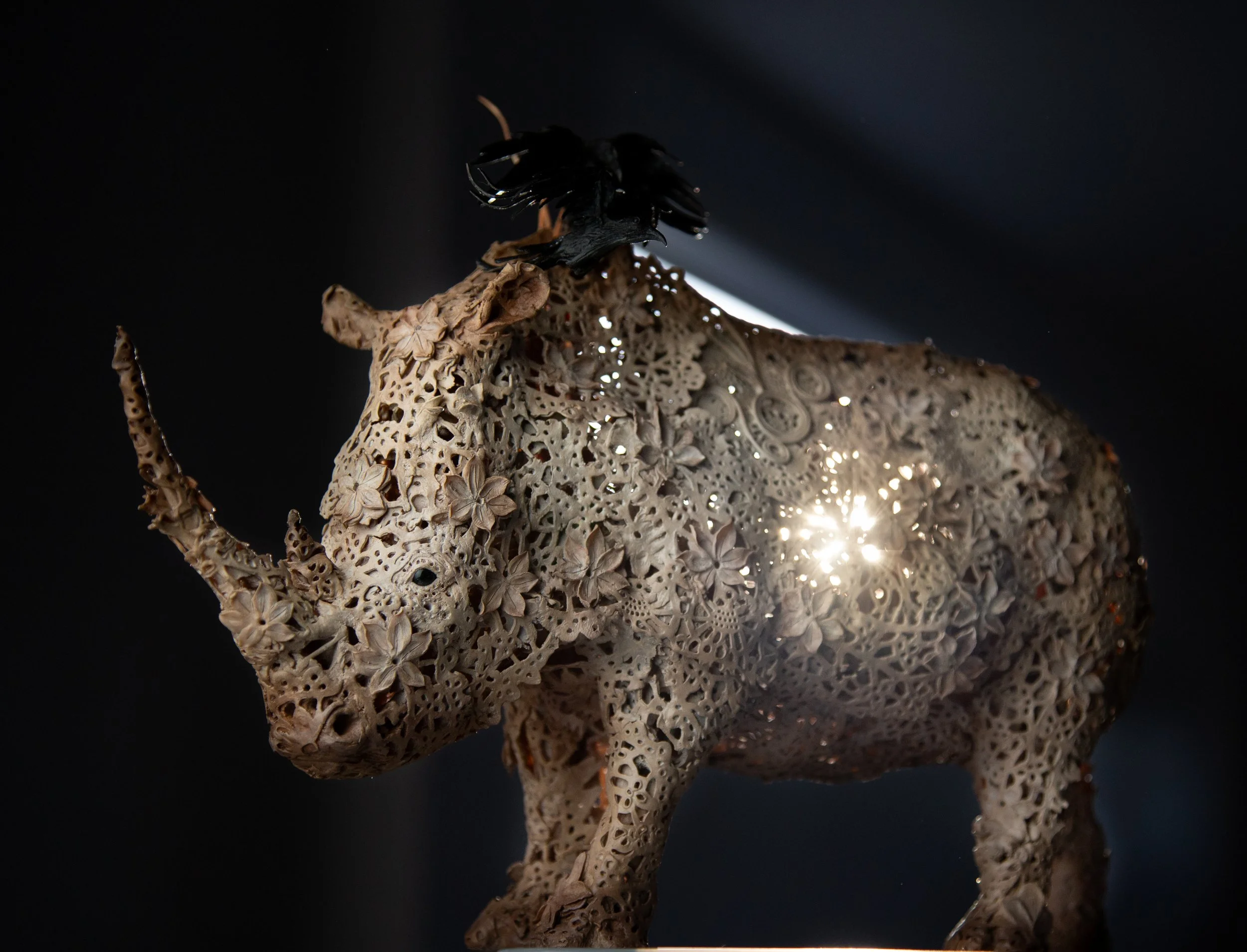 rhino sunlight-3.JPG