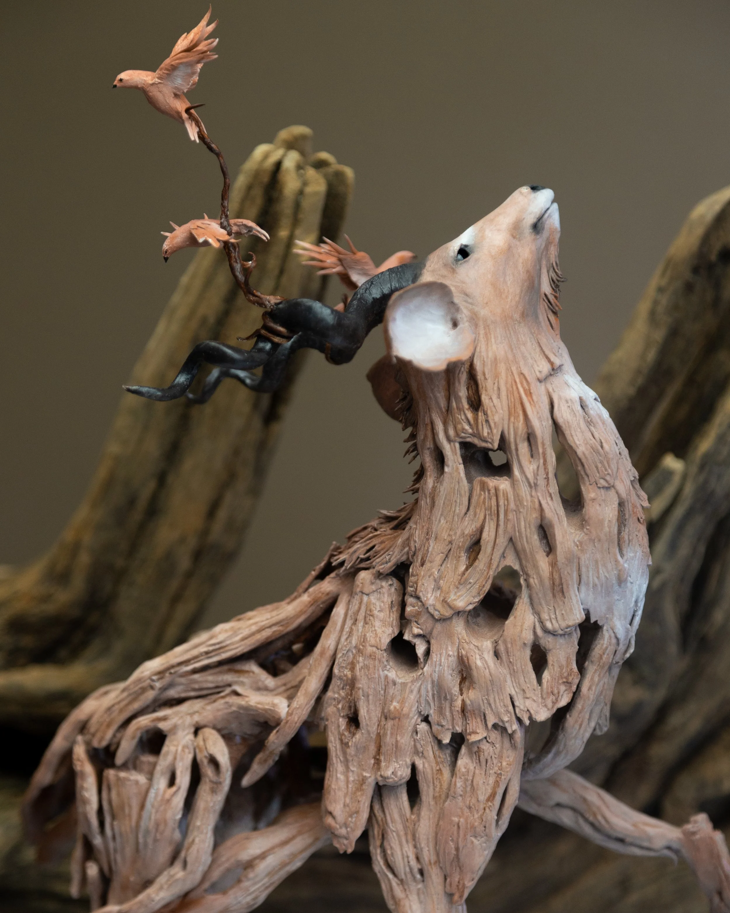 kudu studio shots-4-2.jpg