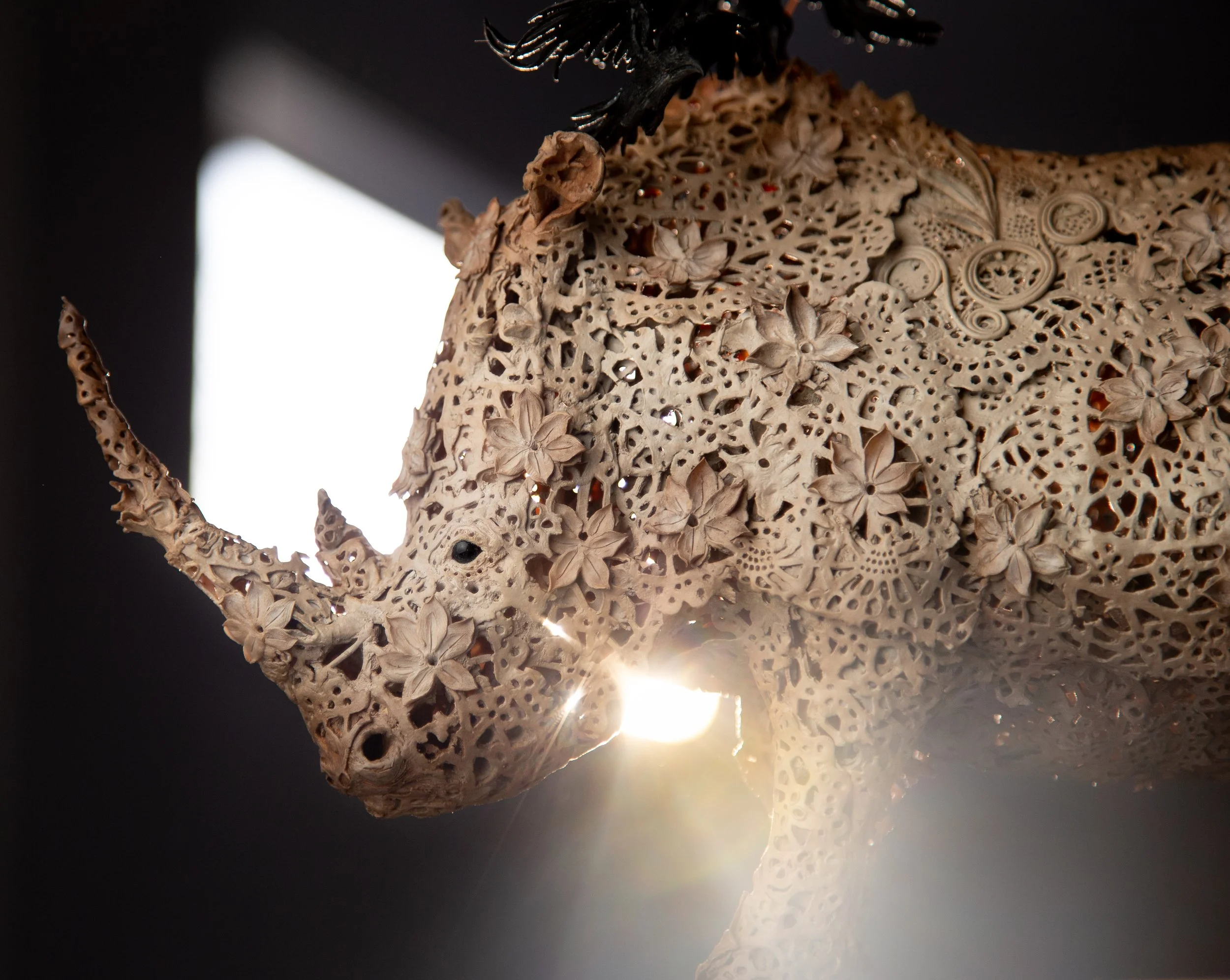 rhino sunlight-7.JPG