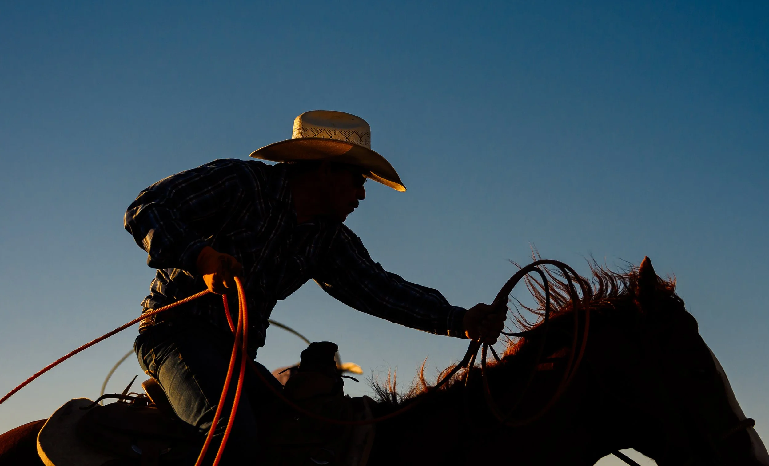 Z63_8999-Edit-Edit.jpg