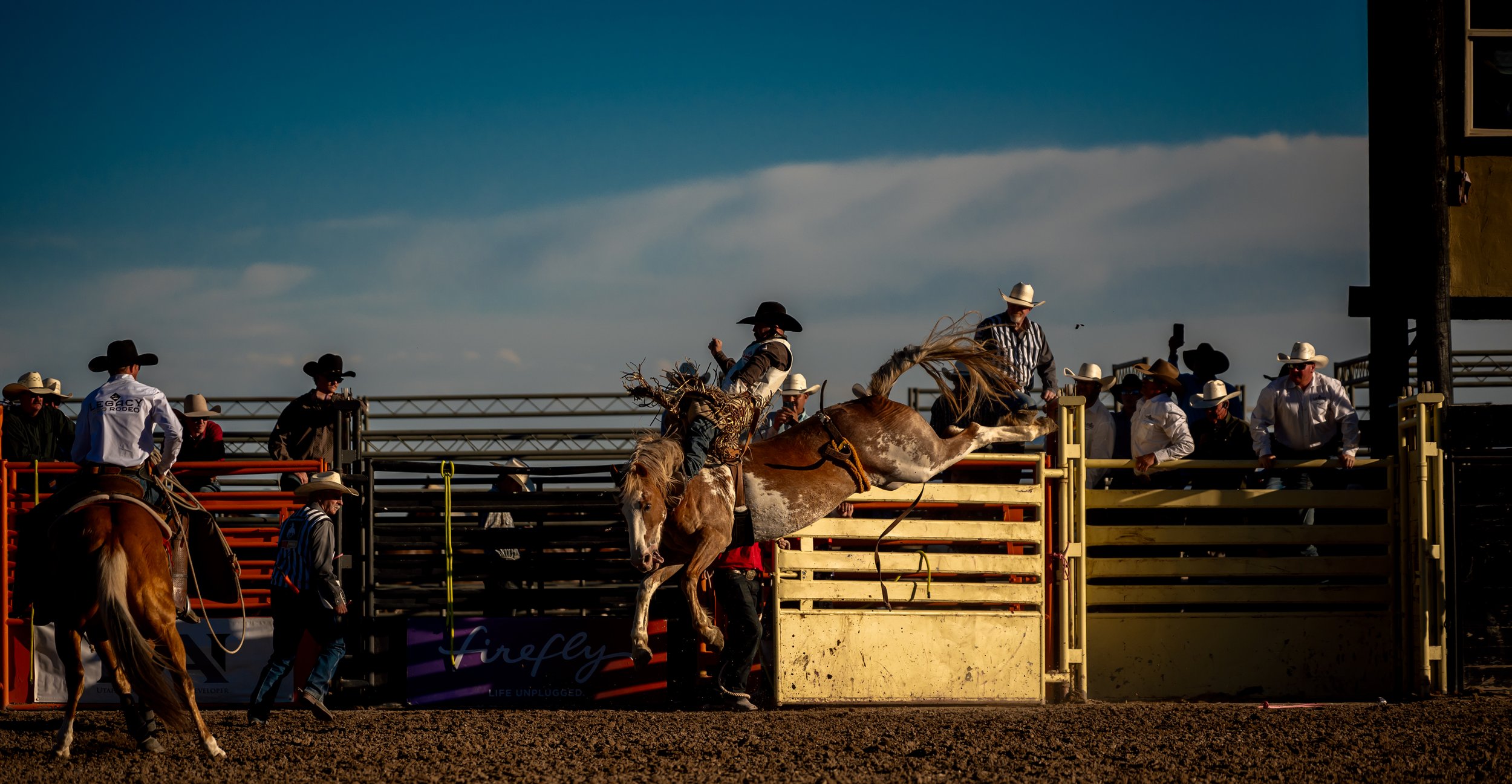Z63_8596-Edit.jpg