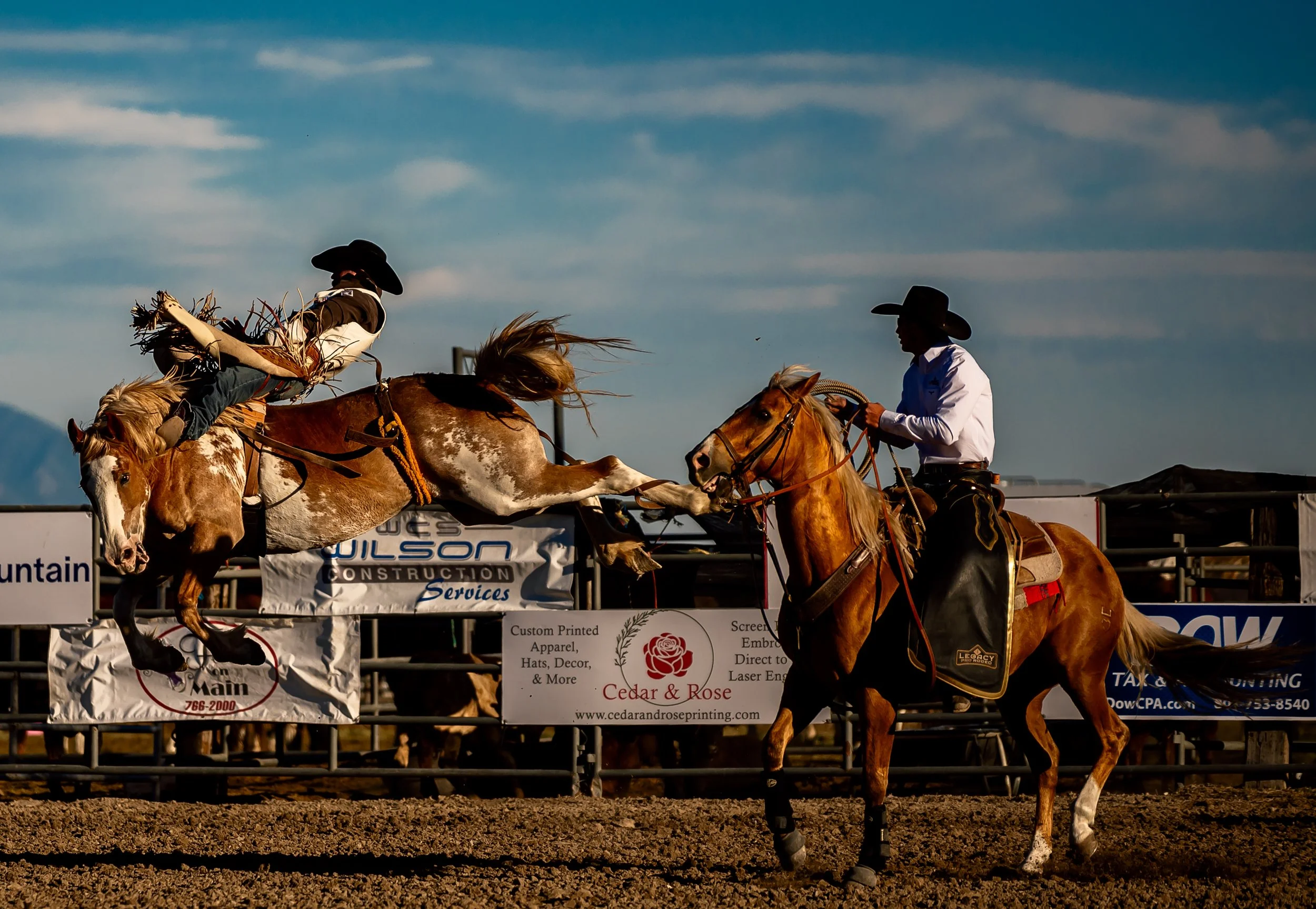 Z63_8629-Edit.jpg