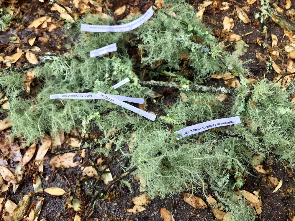 Almost complete_IMG_7566.jpg