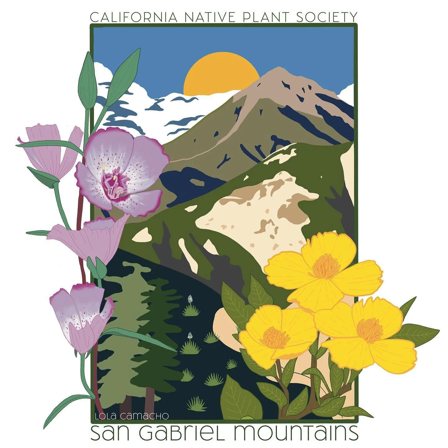 Offering a small native plant break 🌿💚 Here, my submission to @cnps_sgm T-shirt design contest, along with the photos taken over the years that inspired the design. Featuring Clarkia bottae and Dendromecon r&iacute;gida in the foreground, a couple 
