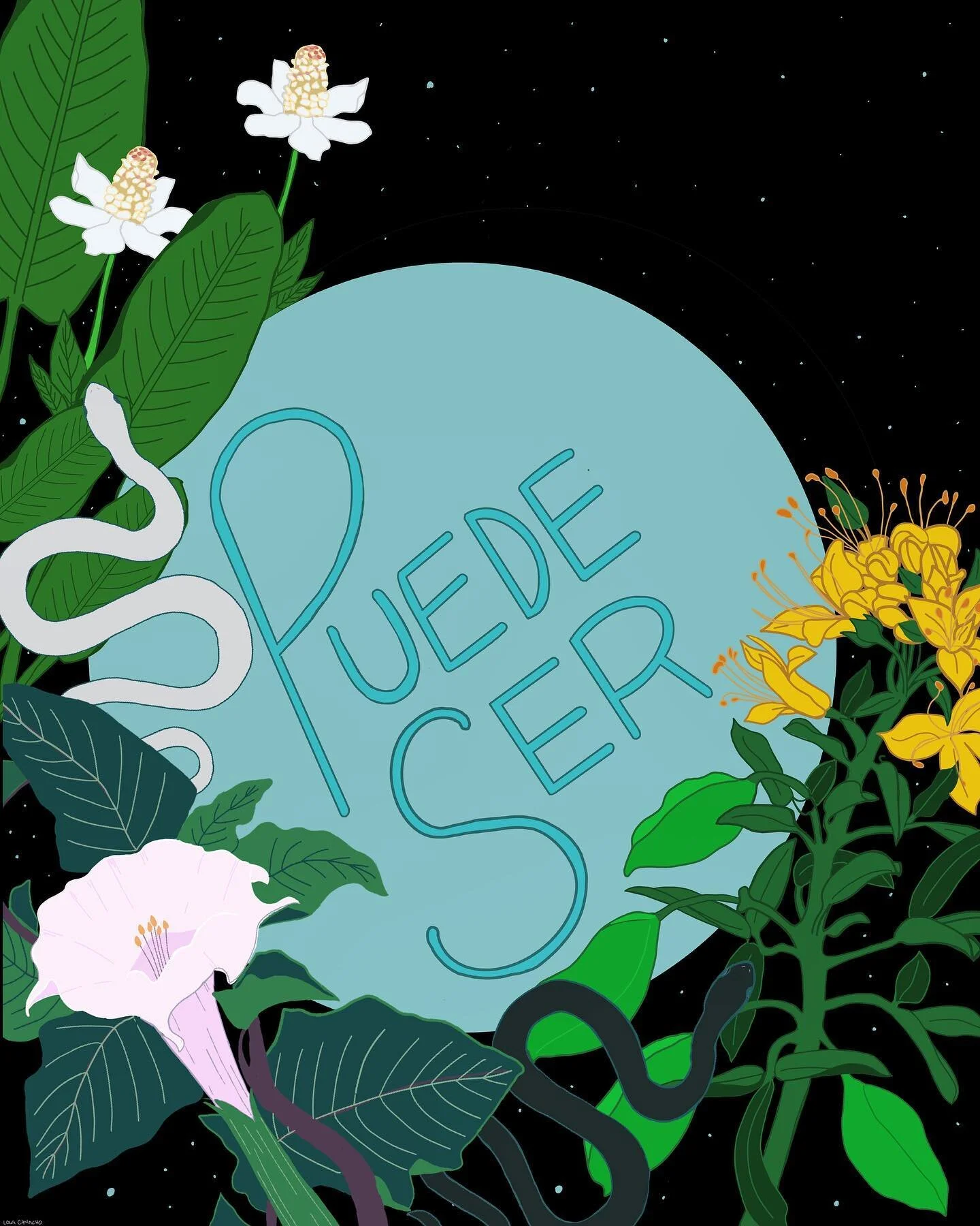 Tal vez... 🌑✨So don&rsquo;t give up, keep going 🍃#nativeplants #california #lucha #trucha #dontgiveup