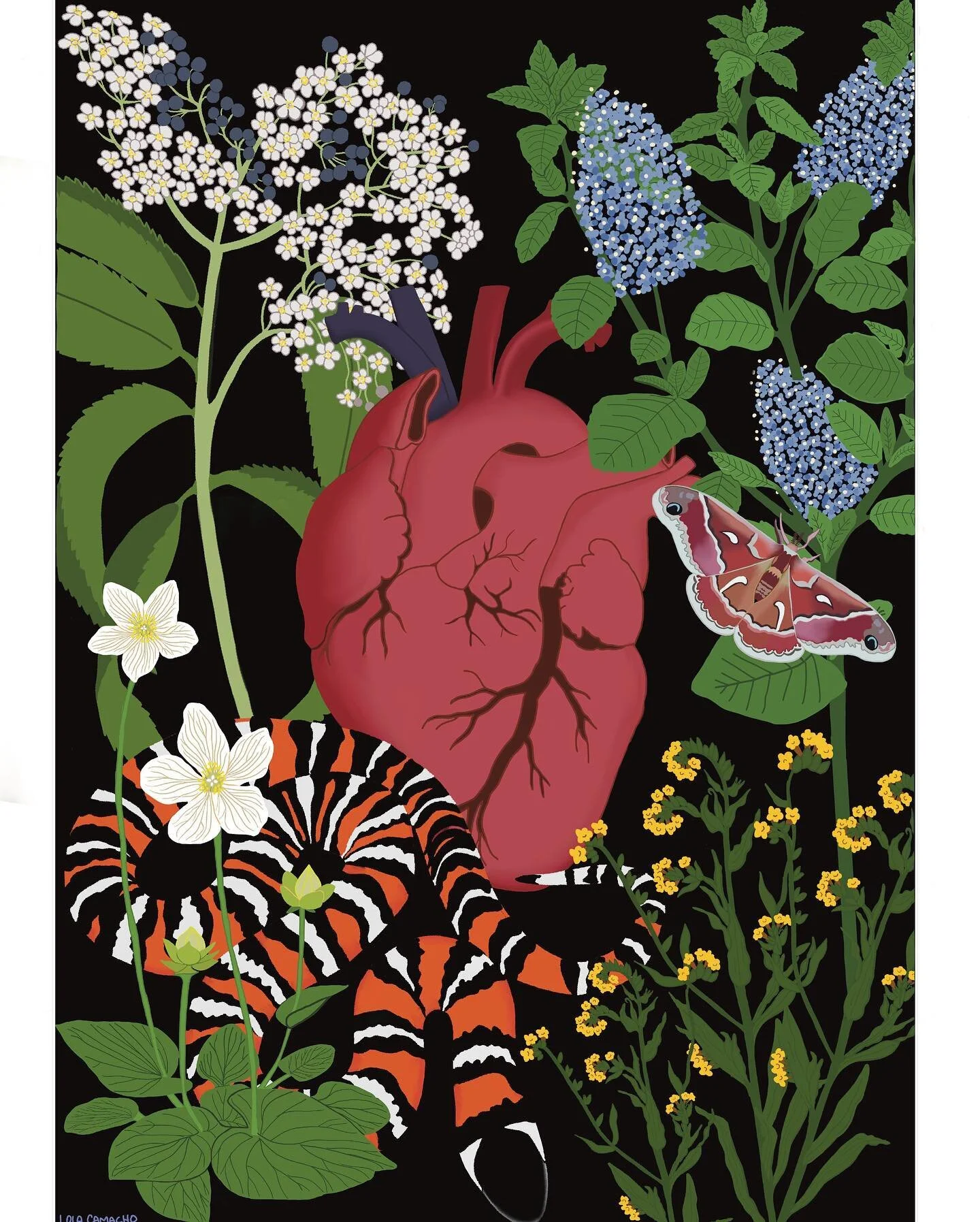 Trust in the abundance of reciprocity. ✨
➖➖➖➖➖➖➖➖➖➖➖➖
Also, idk who needs to hear this, but if your outdoor advocacy isn&rsquo;t centered in the uplifting of Indigenous communities/land management and #LandBack, it isn&rsquo;t as effective as you mig