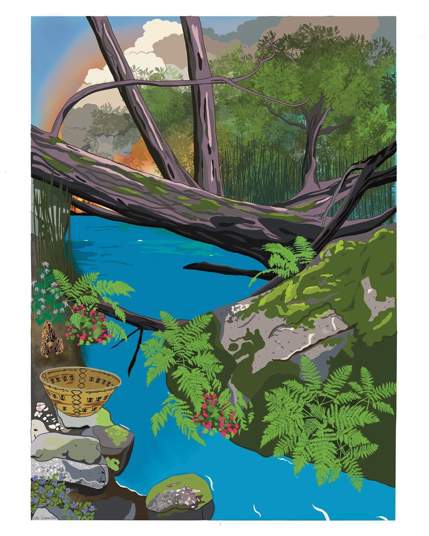 Resilience is in your nature ✨
Wildfire, drought years, colonization, urban development, and climate change. Our forests face many cycles and challenges, some completely natural and necessary, others not so much. It&rsquo;s a complex web of interconn