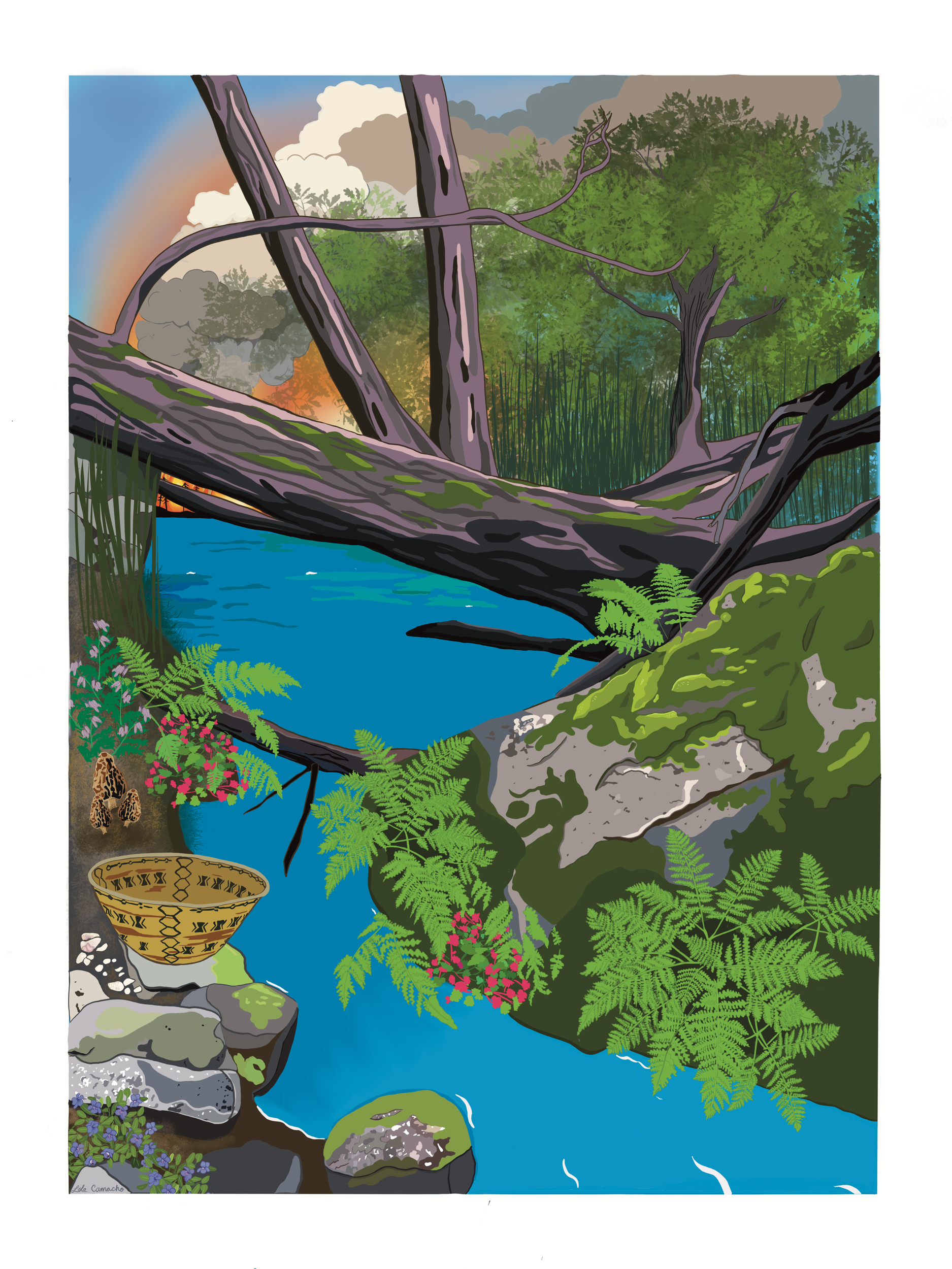IMG_0914.png