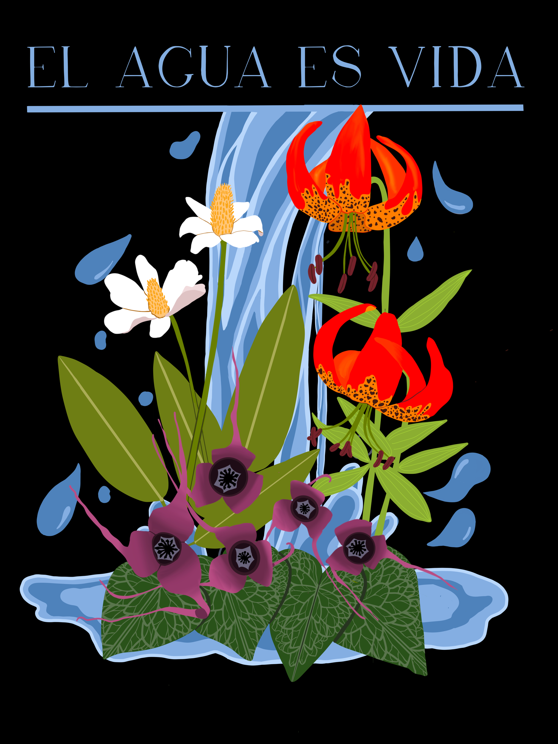 IMG_1748.png