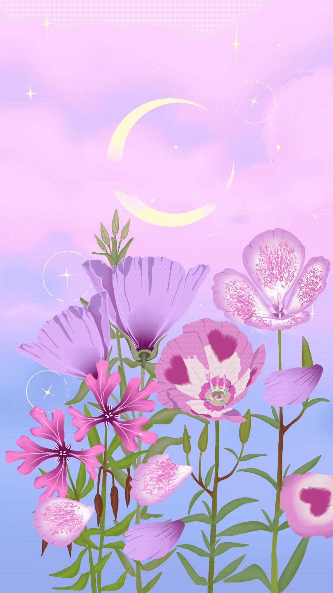 IMG_2424.gif