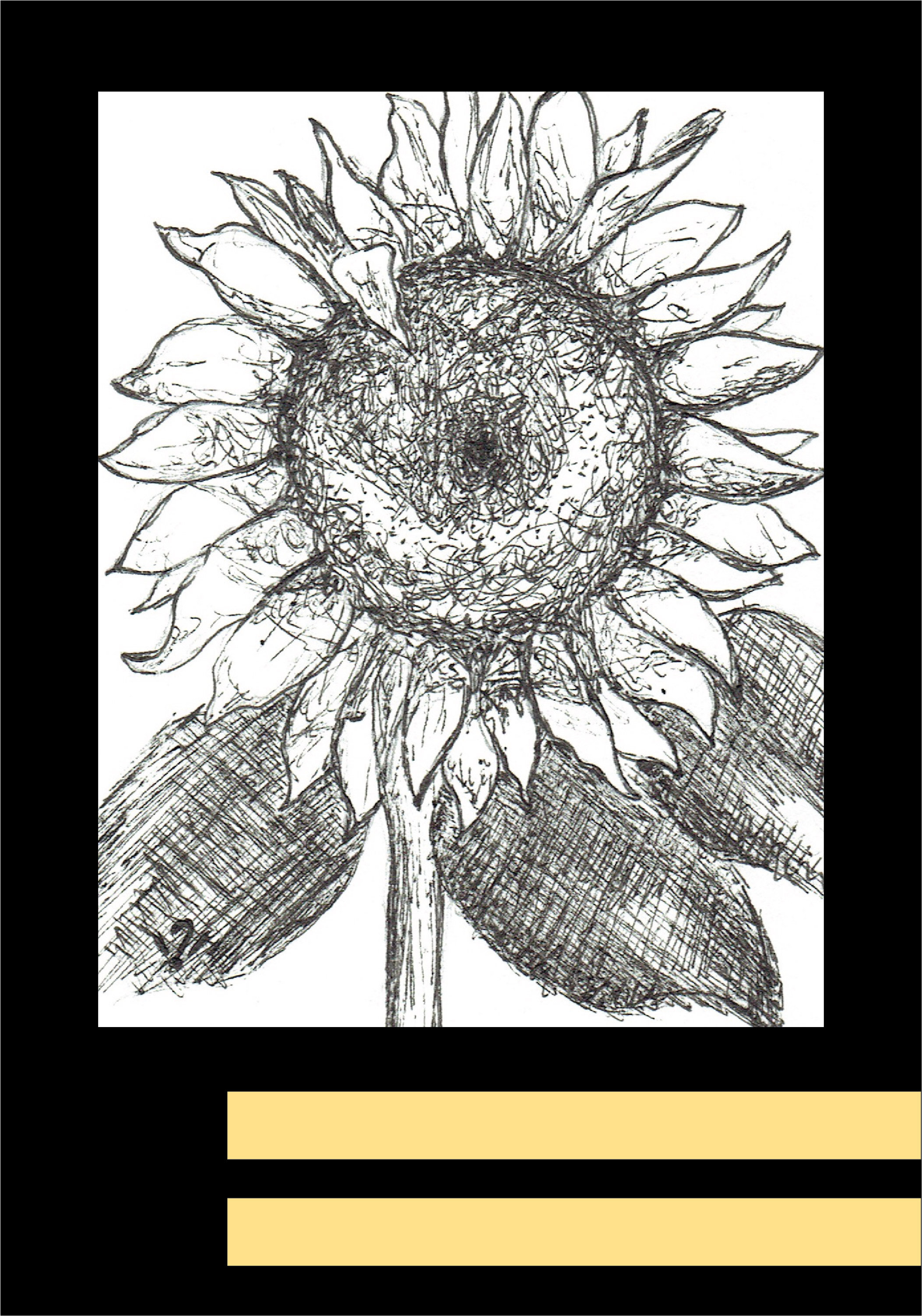 sunflower.jpg