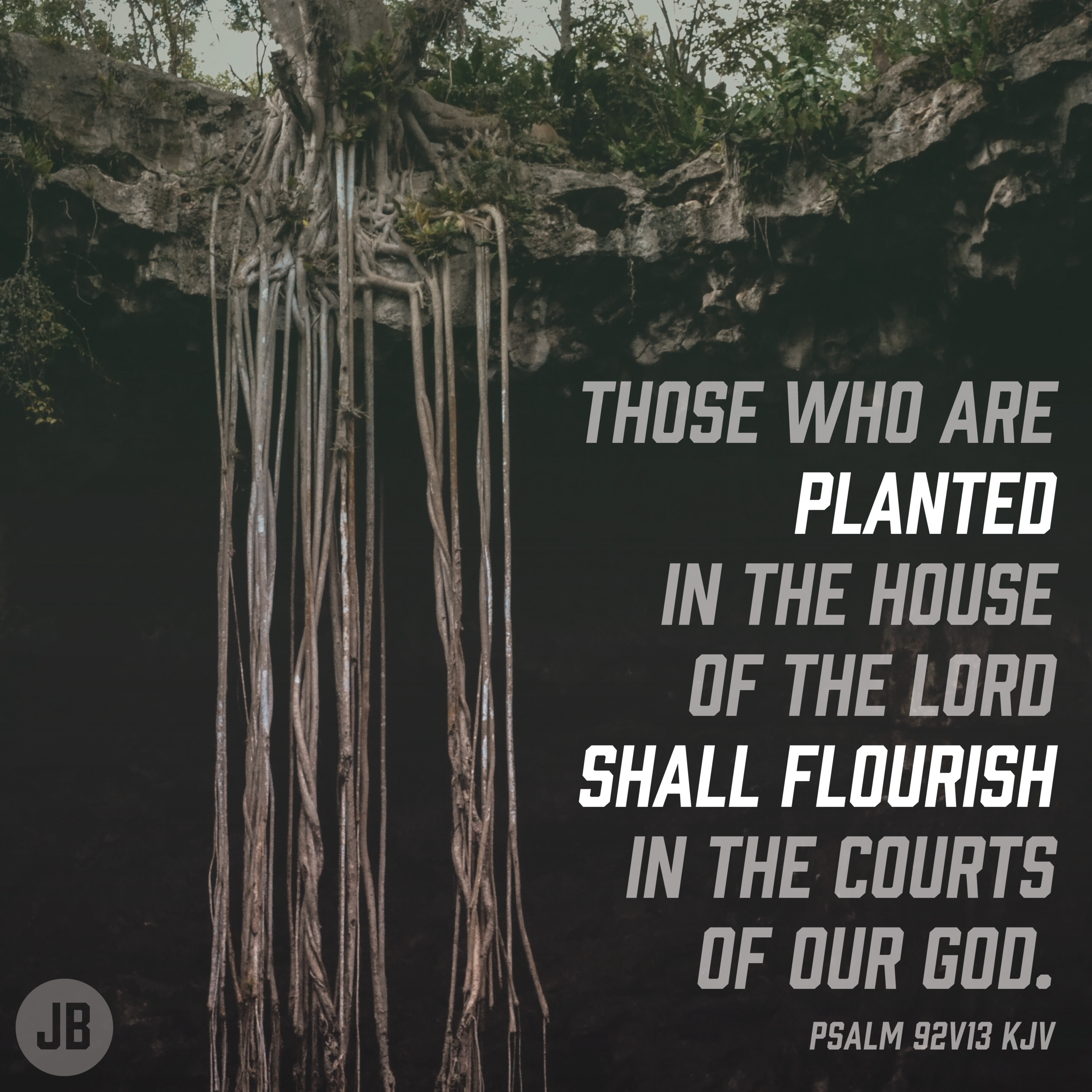 planted.png