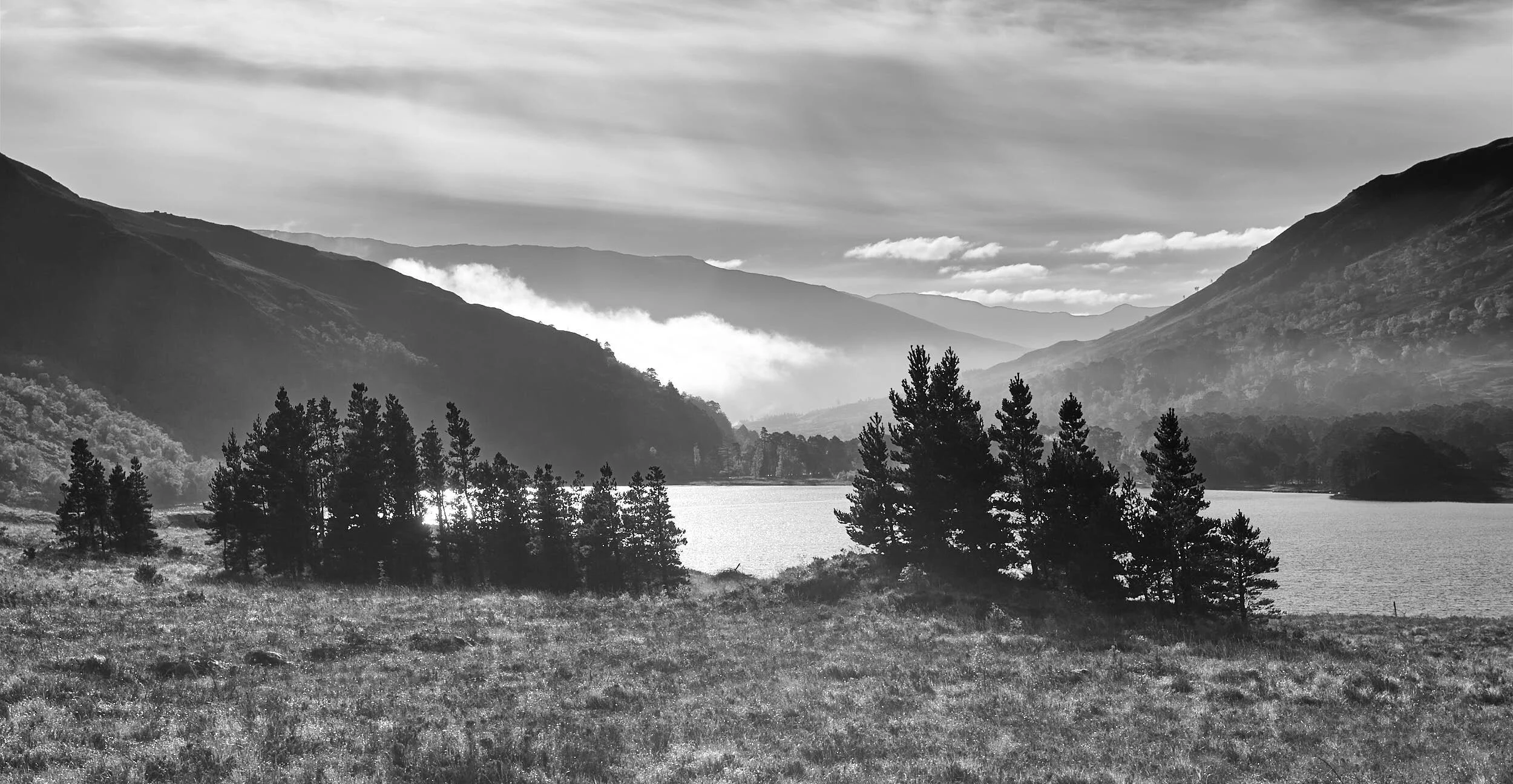 Trees and Loch, Torridon